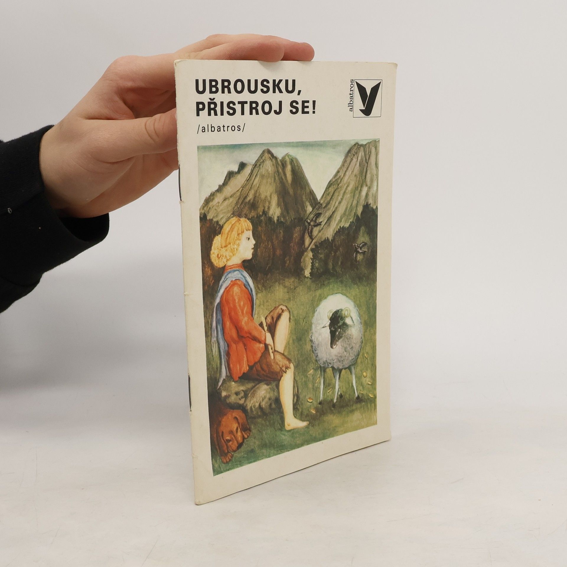 Autorenkollektiv Ubrousku, přistroj se!