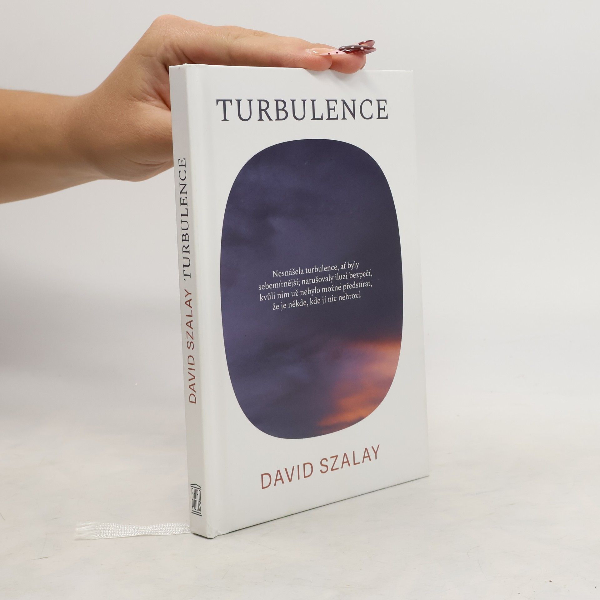 David Szalay Turbulence