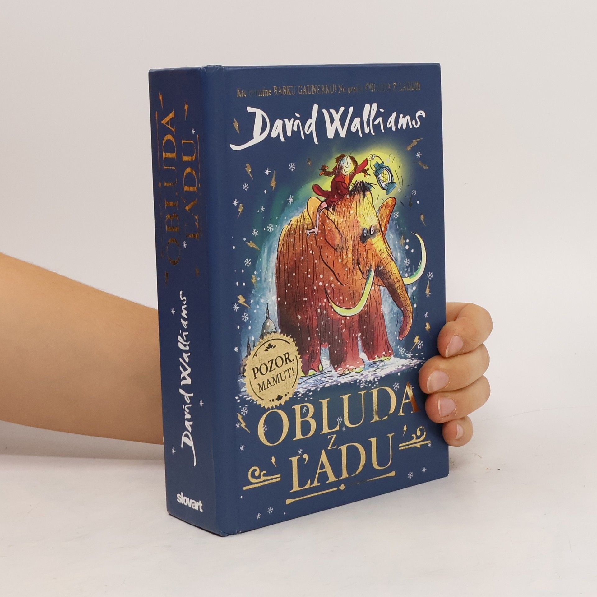 David Walliams Obluda z ľadu