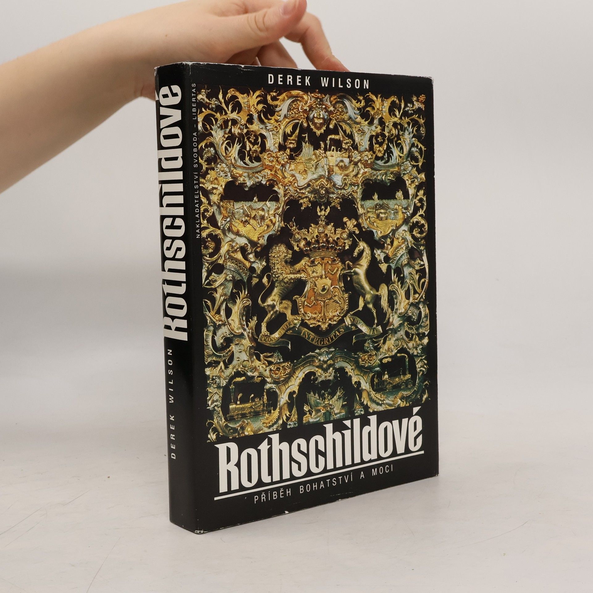 Derek Wilson Rothschildové. Příběh bohatství a moci