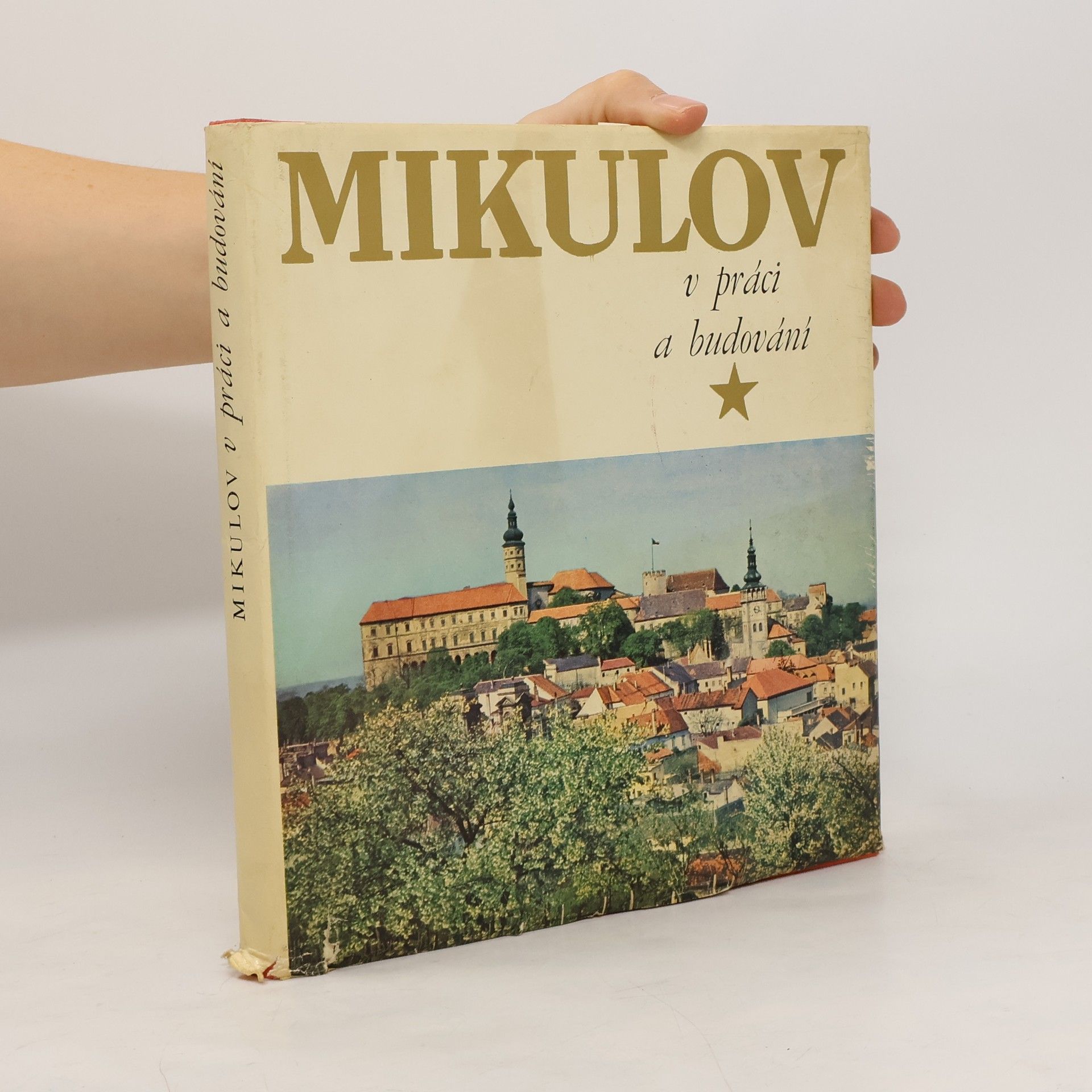 Mikulov v práci a budováni