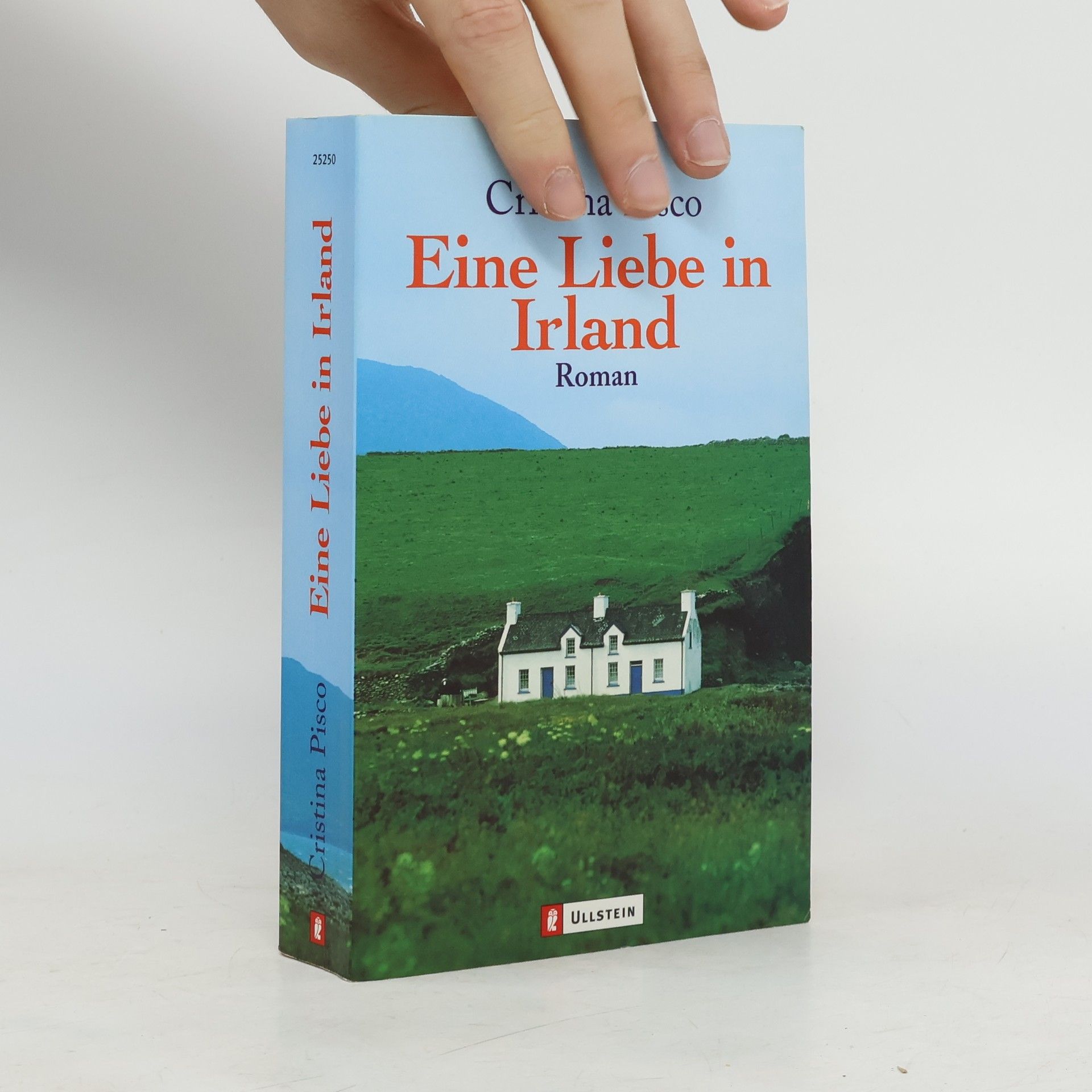 Cristina Pisco Eine Liebe in Irland