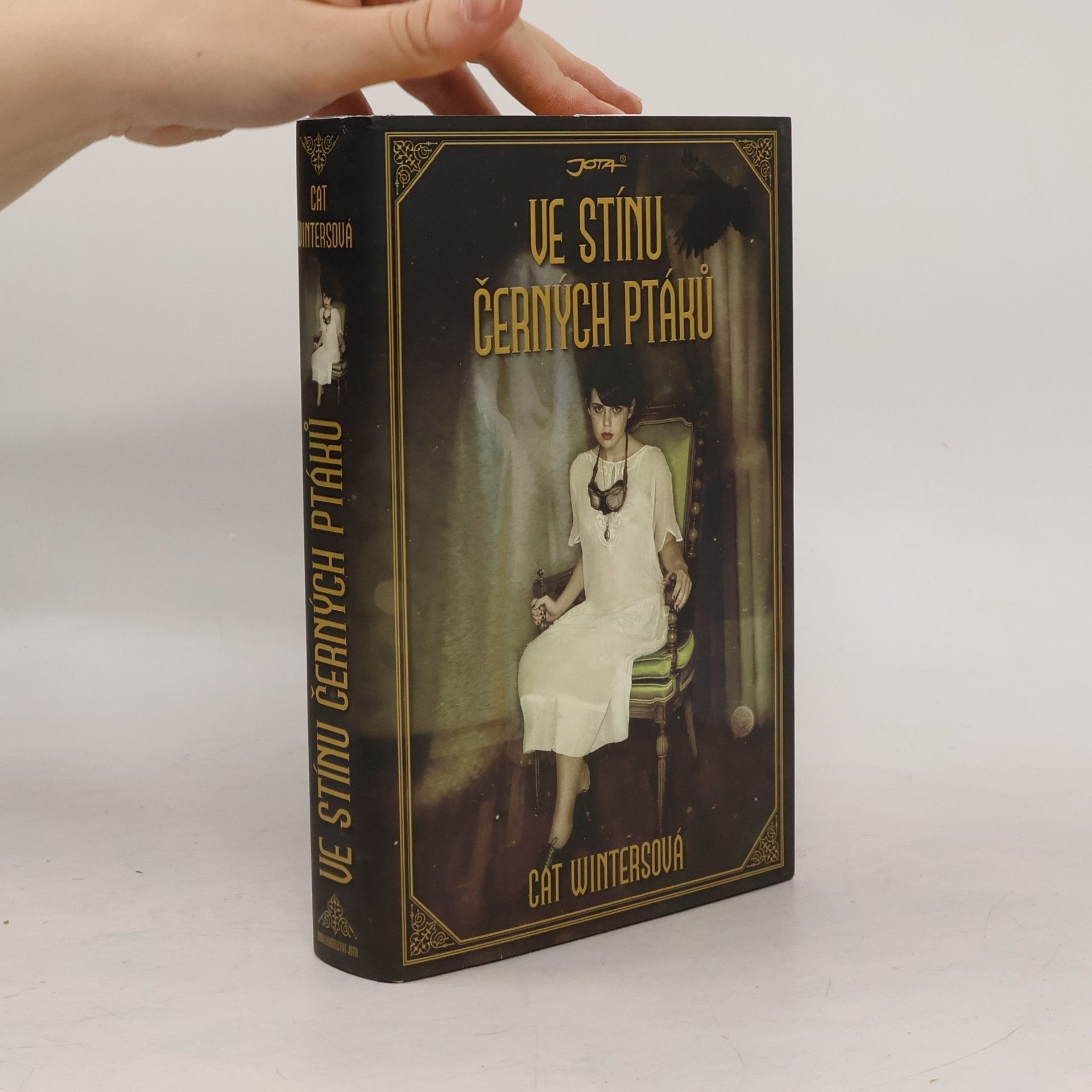 Cat Winters Ve stínu černých ptáků
