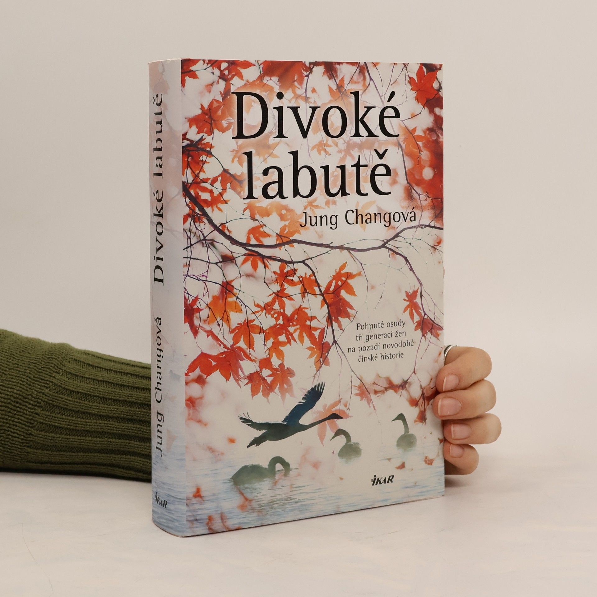 Yong Chang Divoké labutě