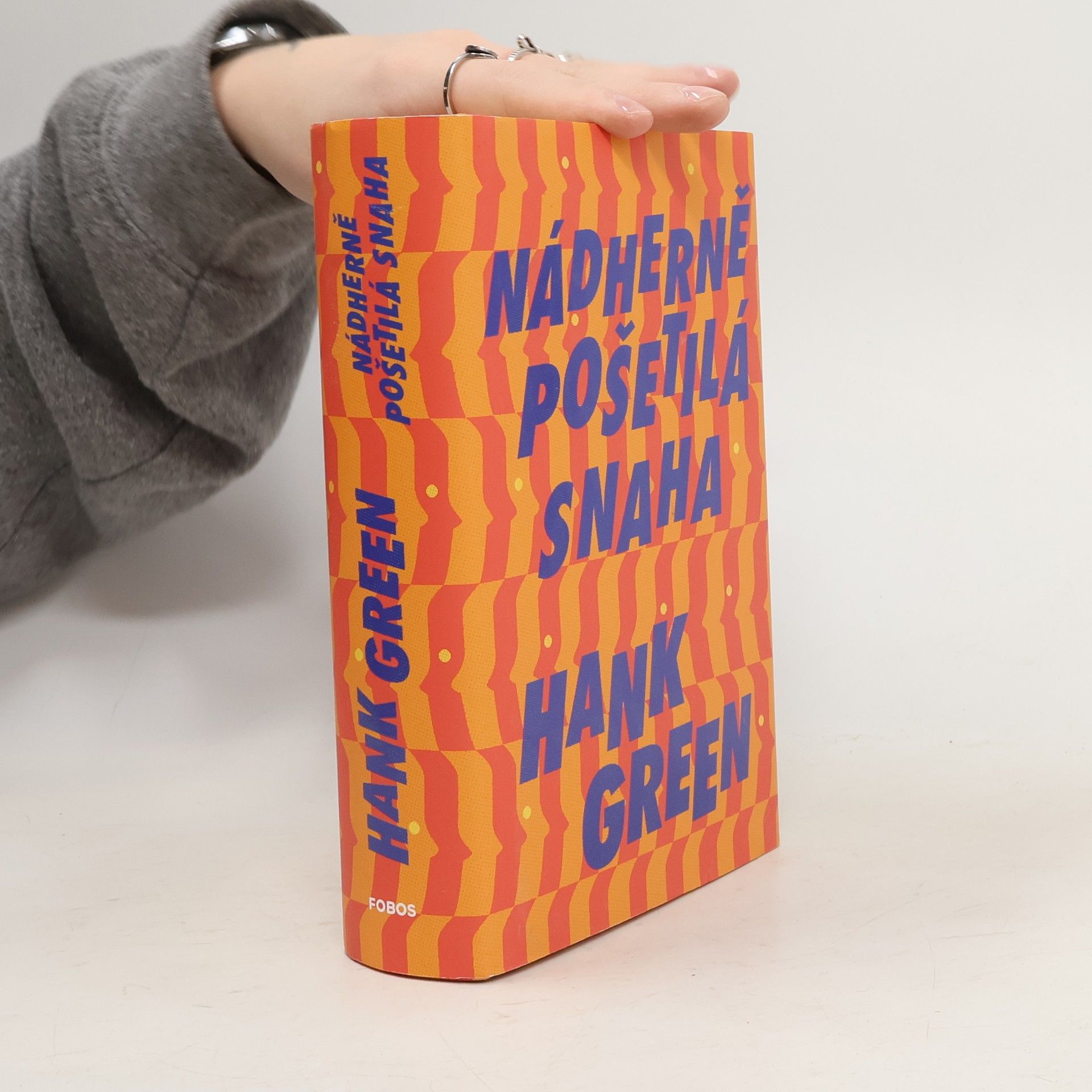 Hank Green Nádherně pošetilá snaha