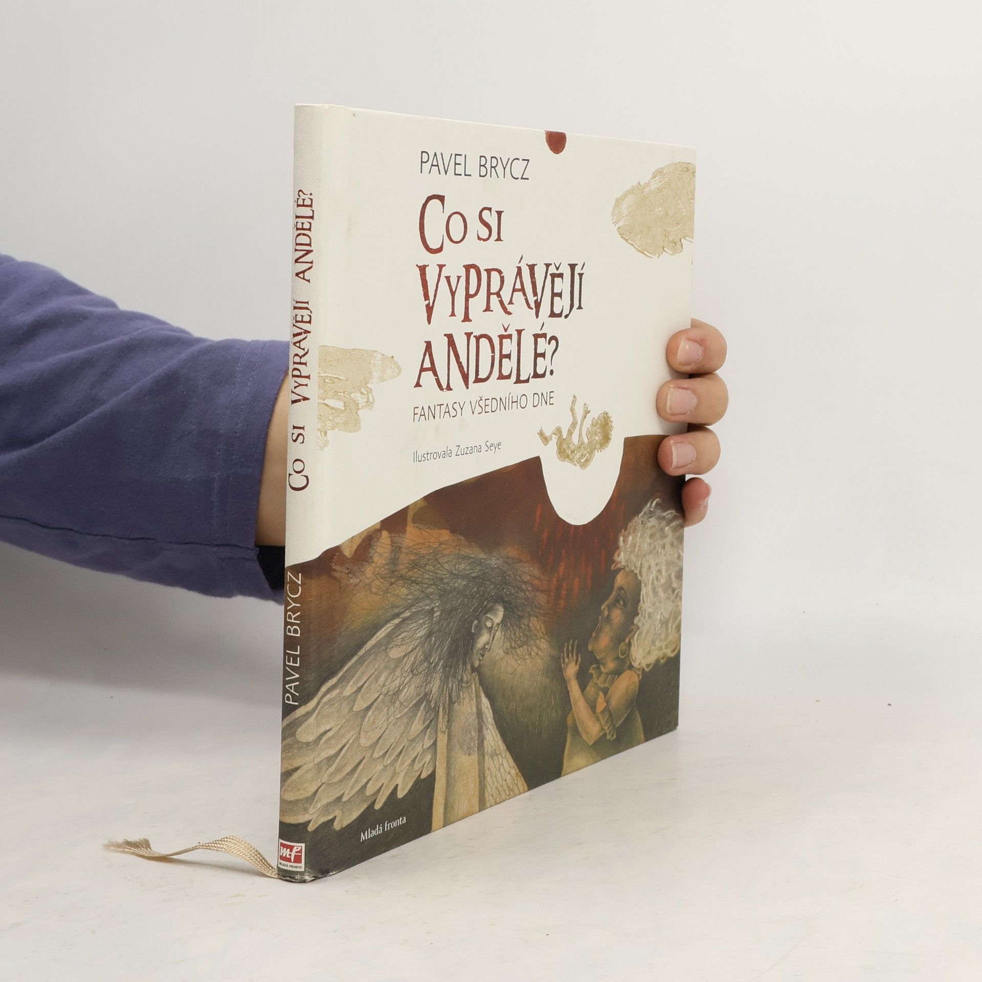 Pavel Brycz Co si vyprávějí andělé?