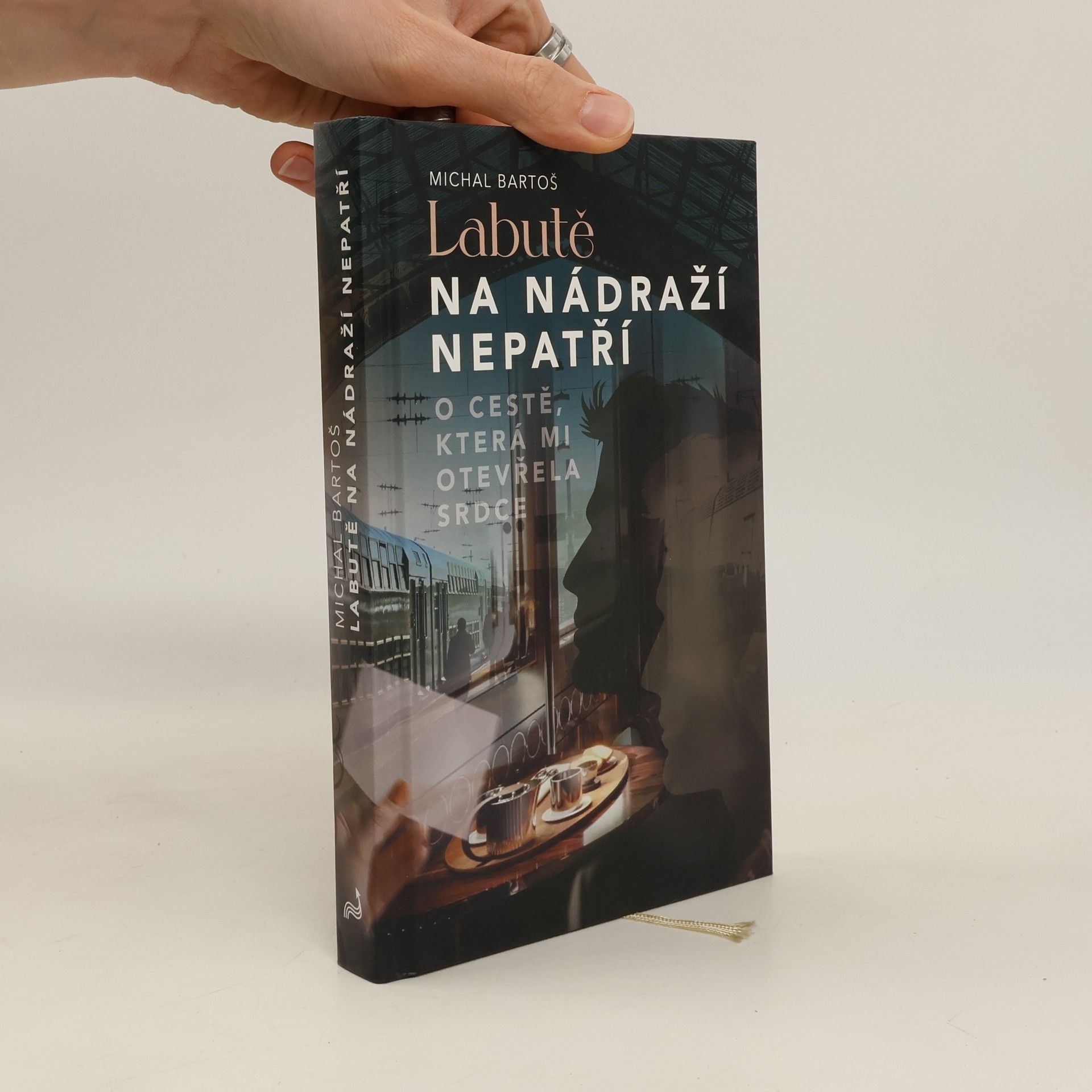 Labutě na nádraží nepatří