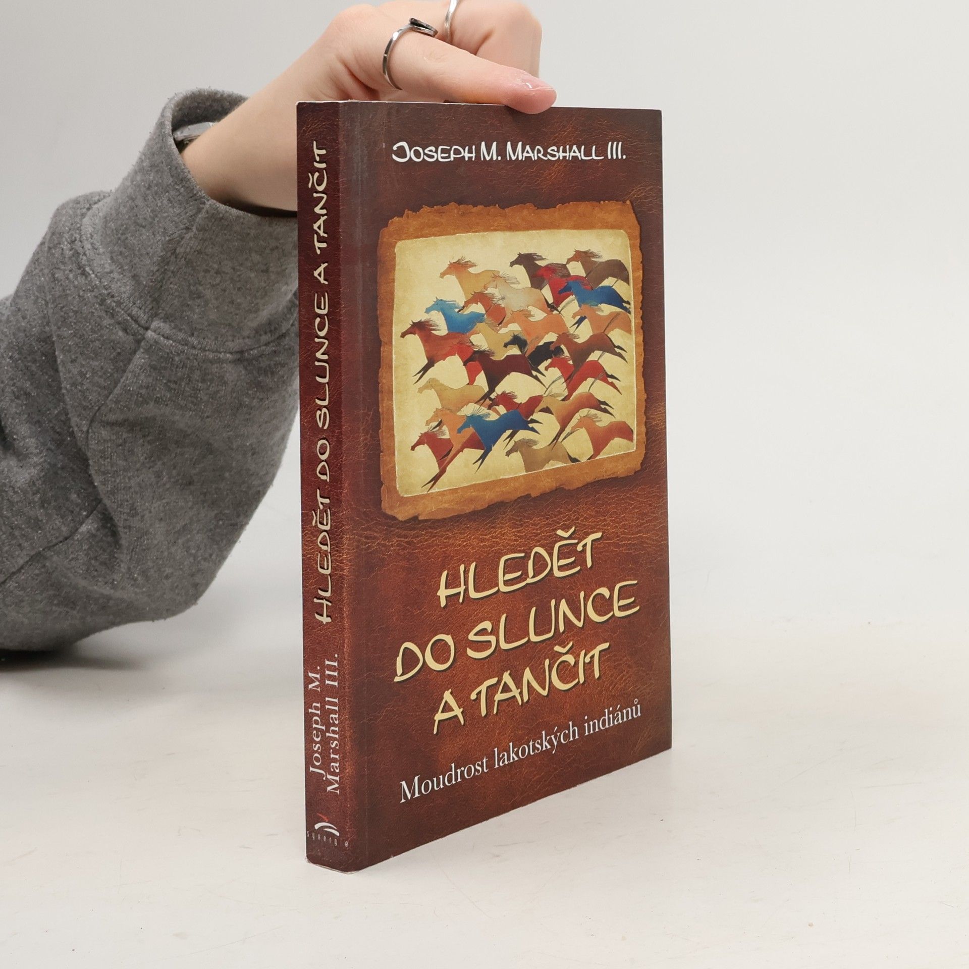 Hledět do slunce a tančit : moudrost lakotských indiánů