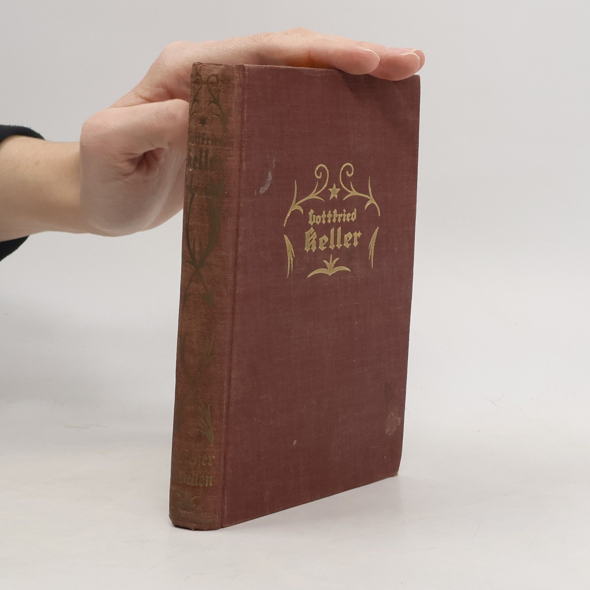 Gottfried Keller Zürcher Novellen 1