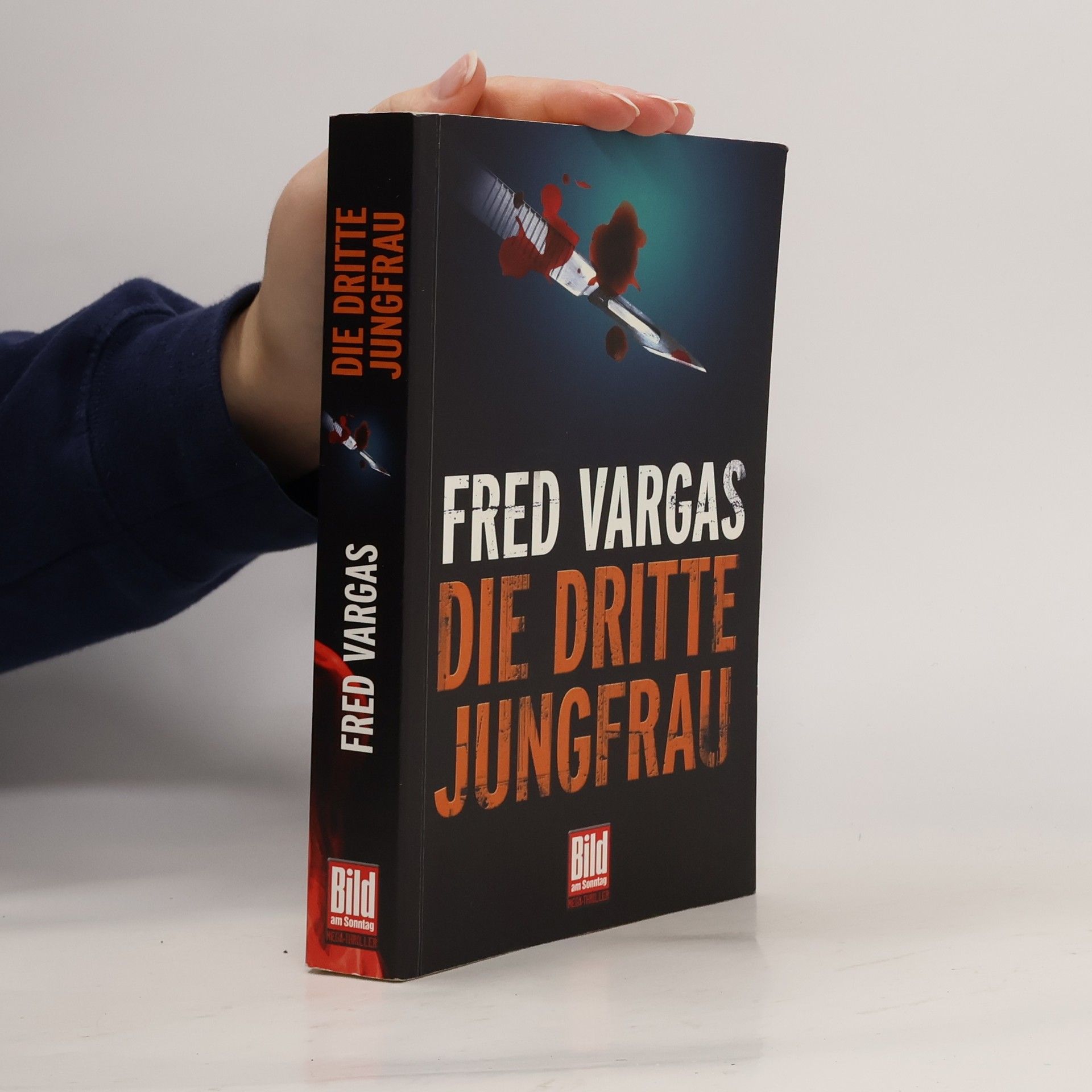 Fred Vargas Die dritte Jungfrau
