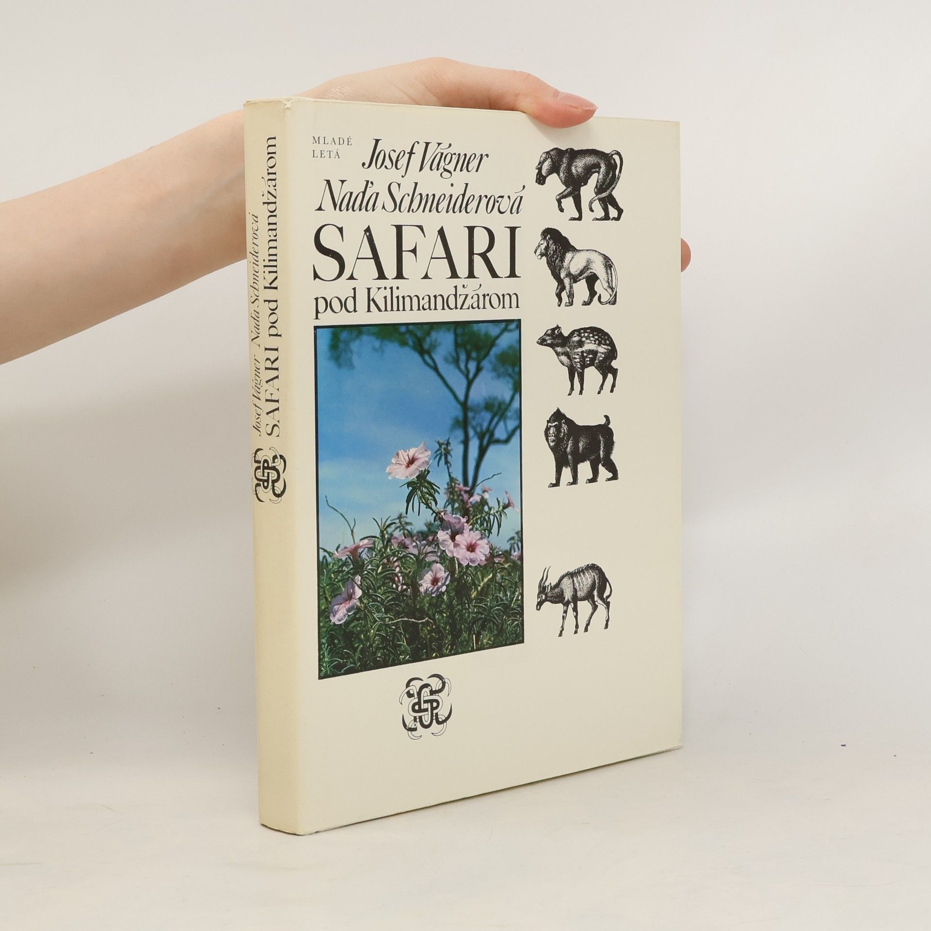 Safari pod Kilimandžárom