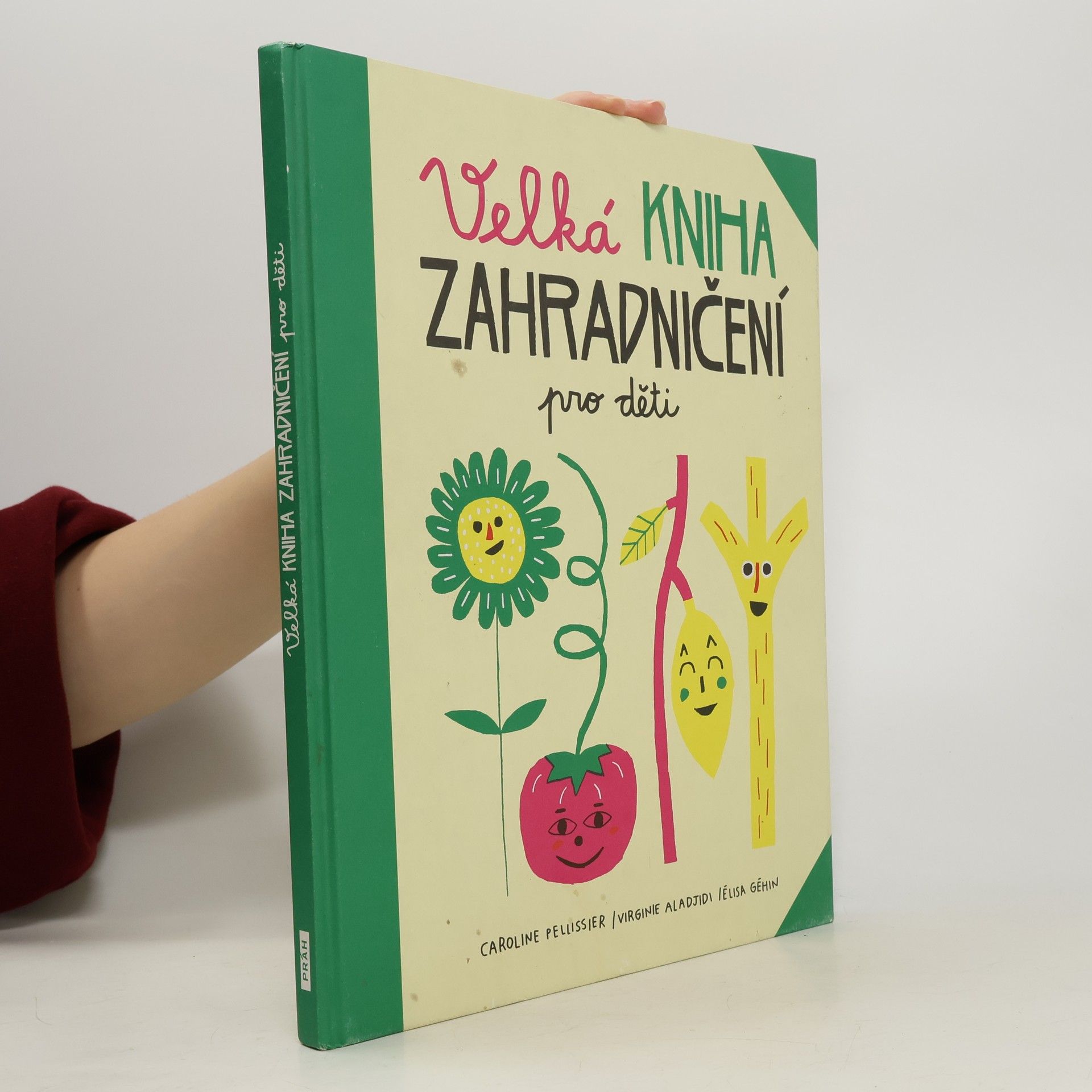 Virginie Aladjidi Velká kniha zahradničení pro děti