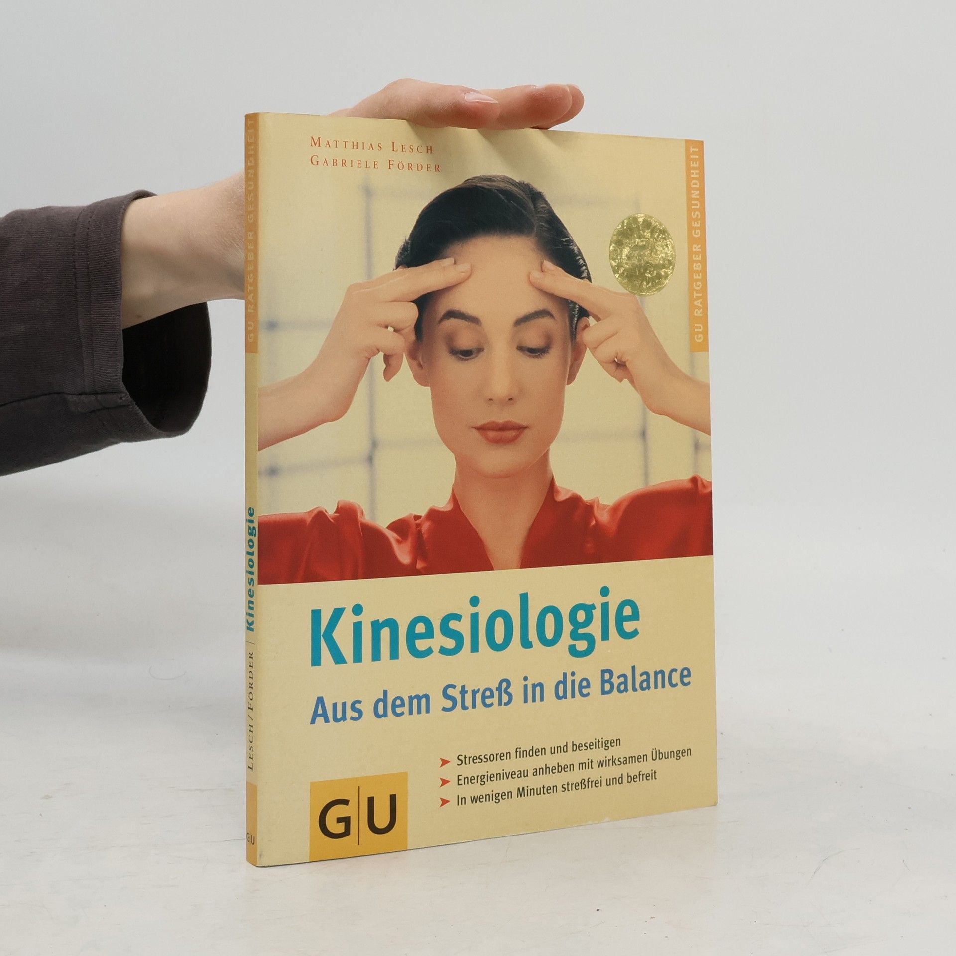 Kinesiologie. Aus dem Streß in die Balance