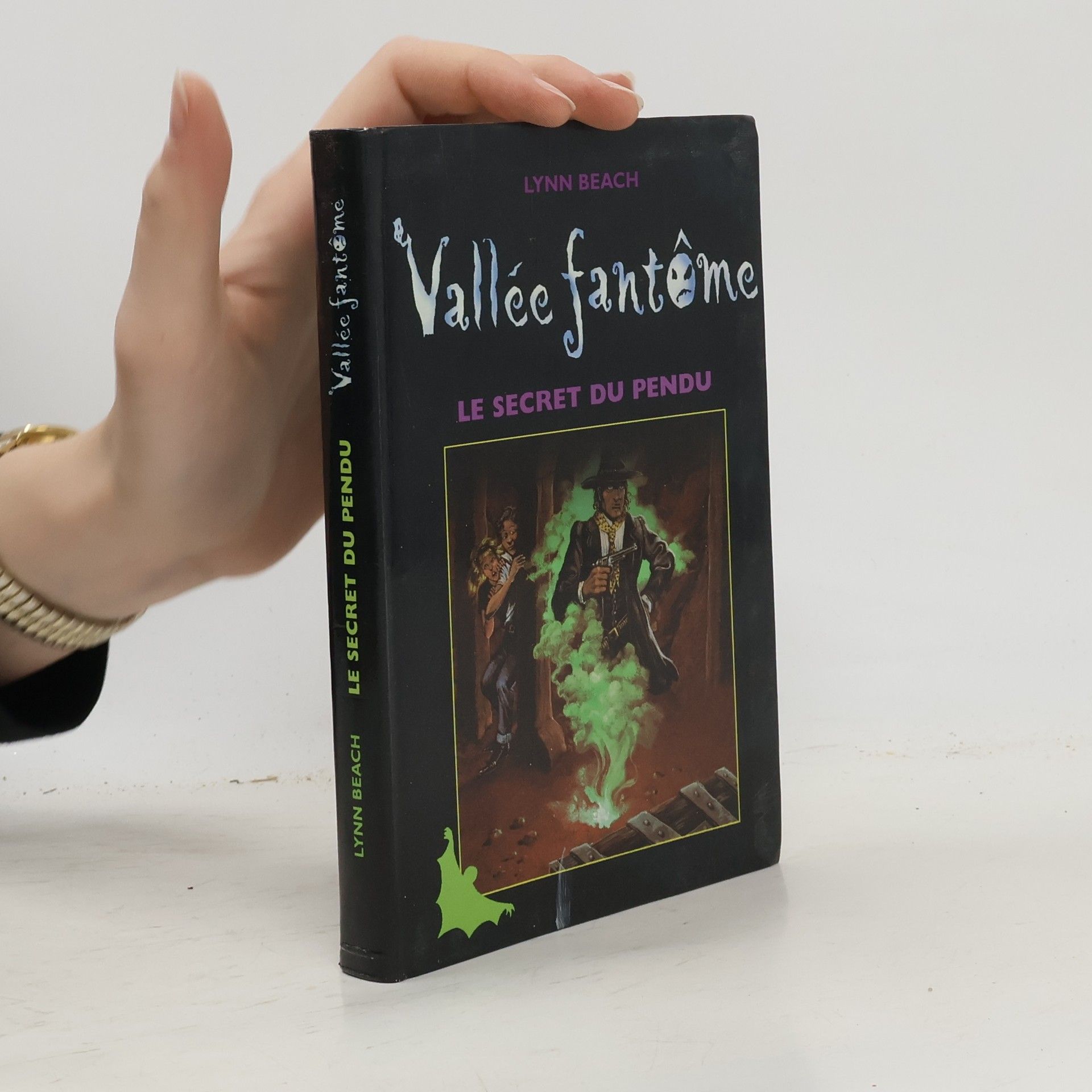 Lynn Beach Le secret du pendu