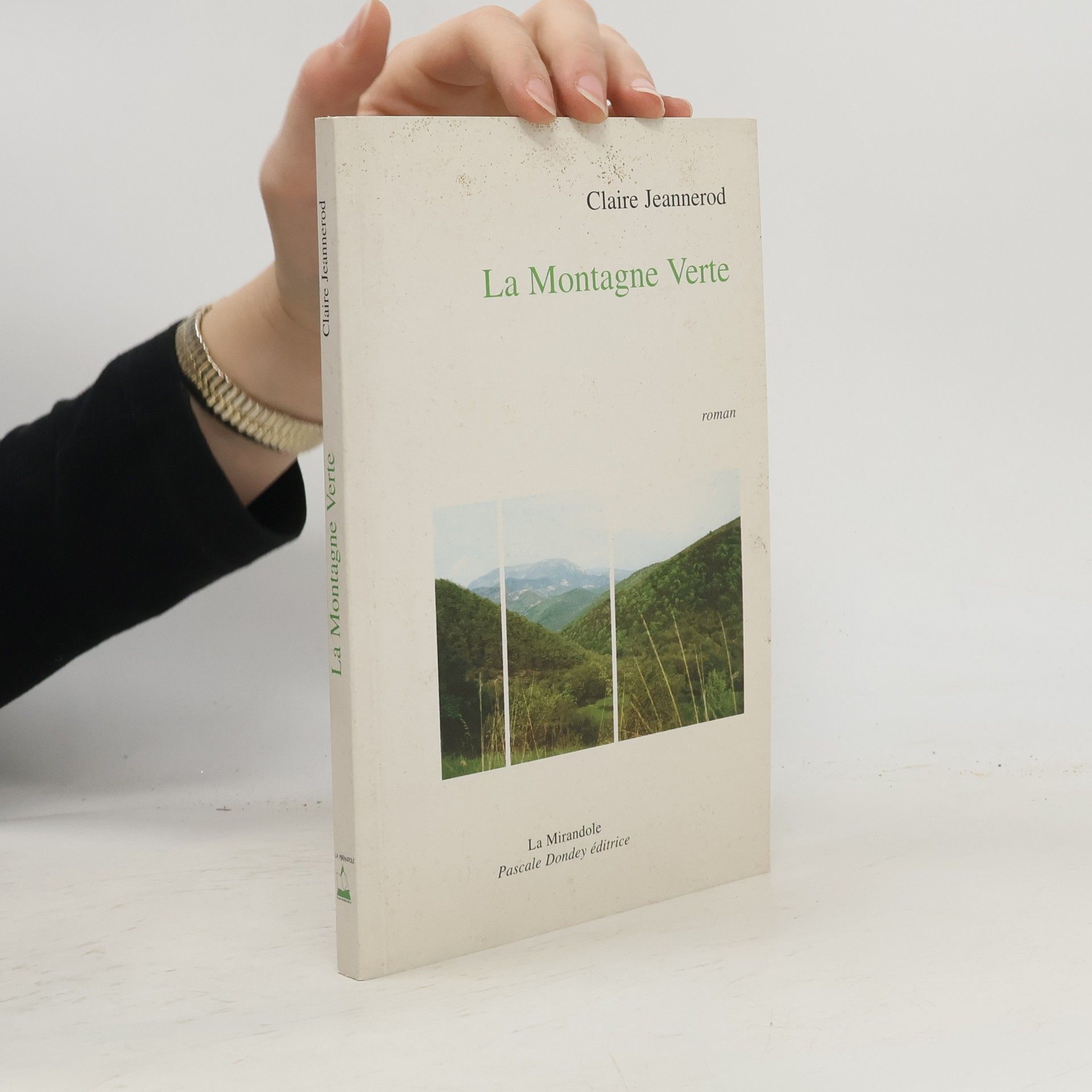 Claire Jeannerod Chastan La montagne verte