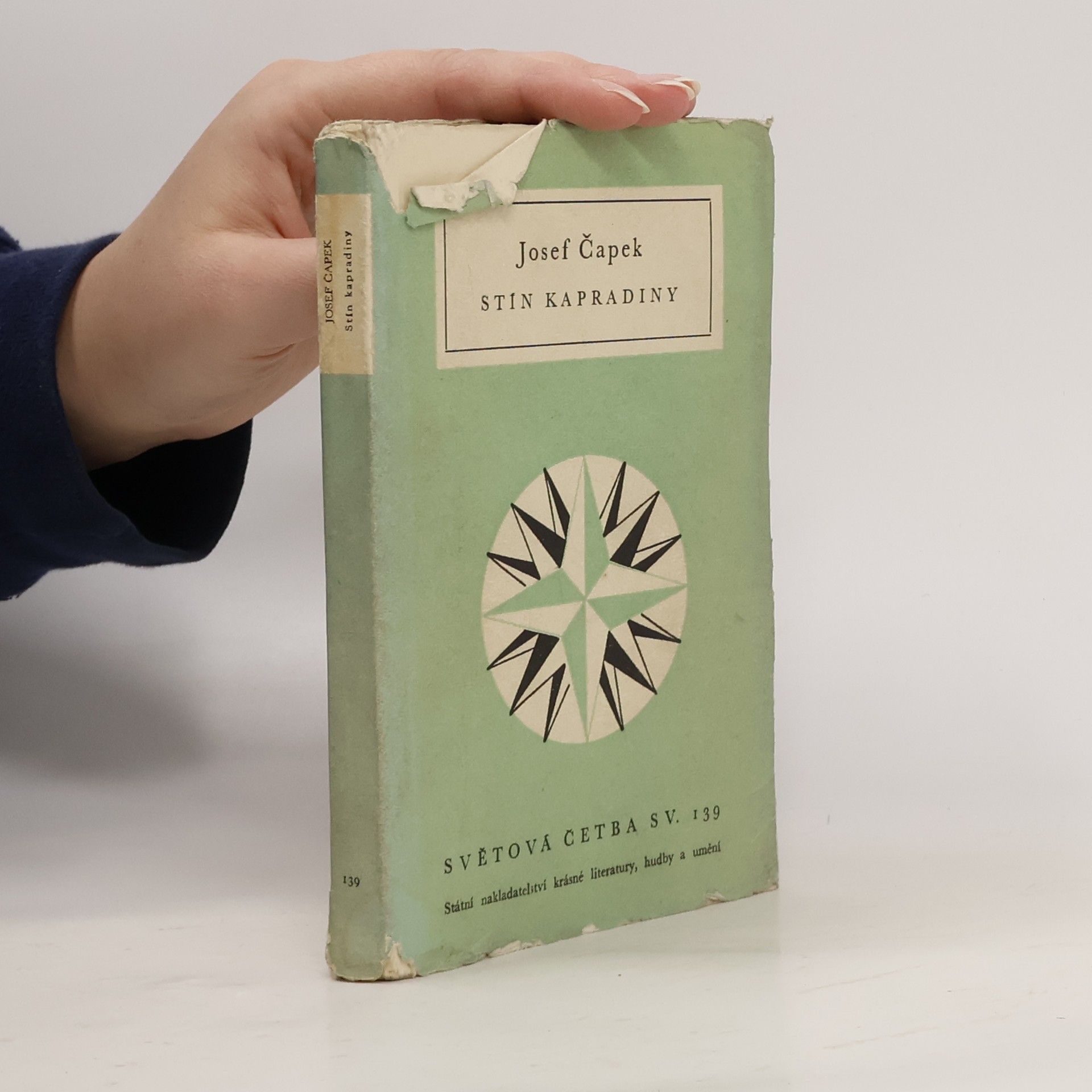 Josef Čapek Stín kapradiny