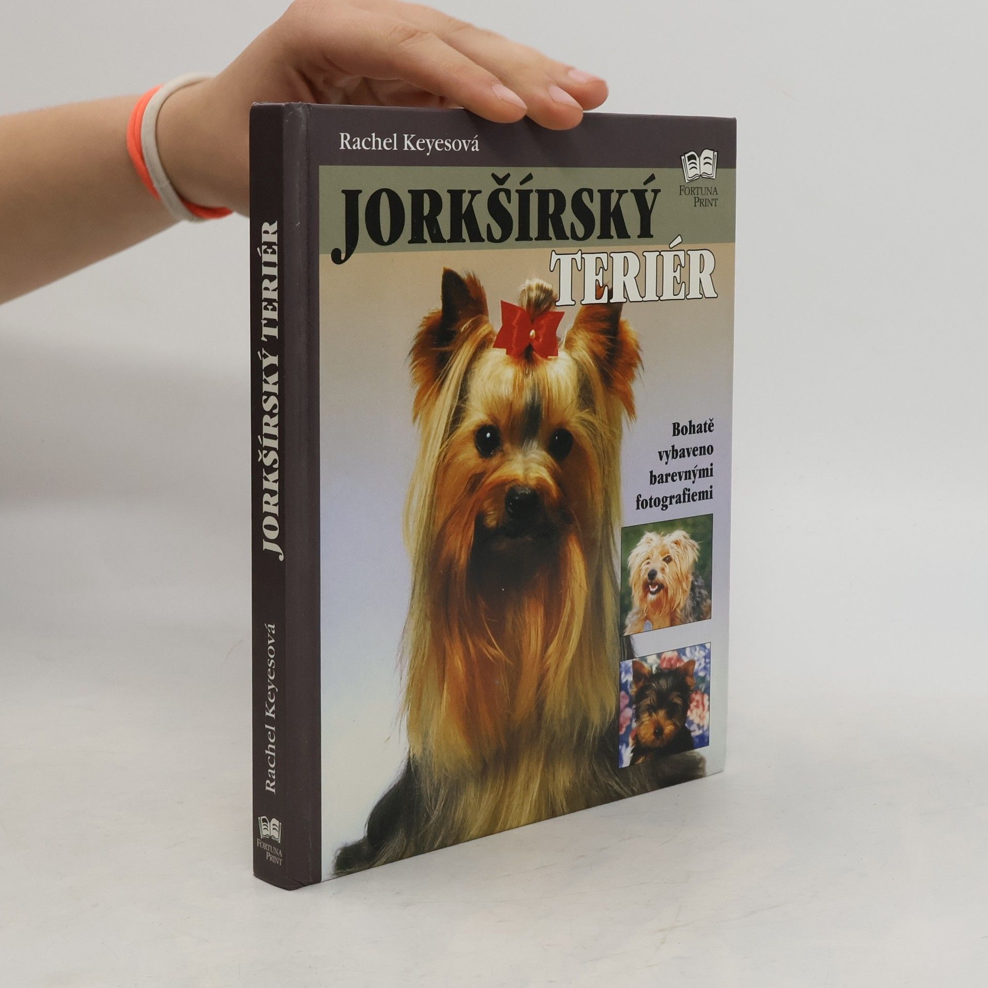 Rachel Keyes Jorkšírský teriér