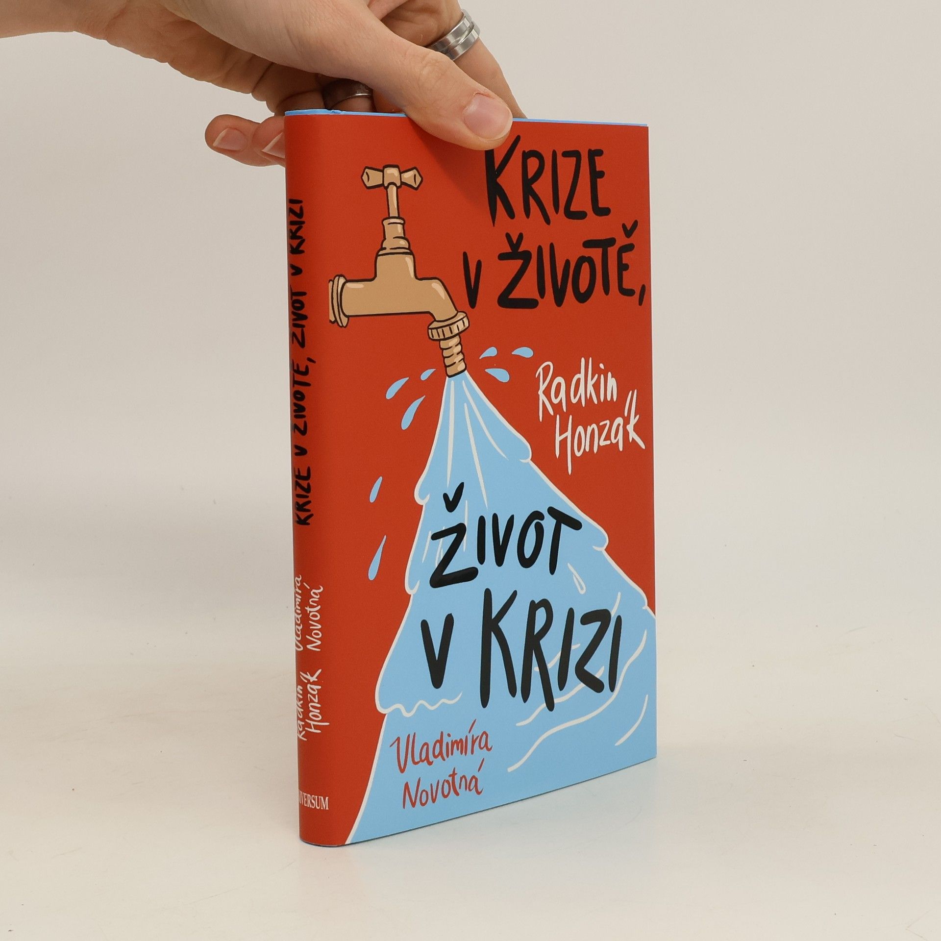 Krize v životě, život v krizi