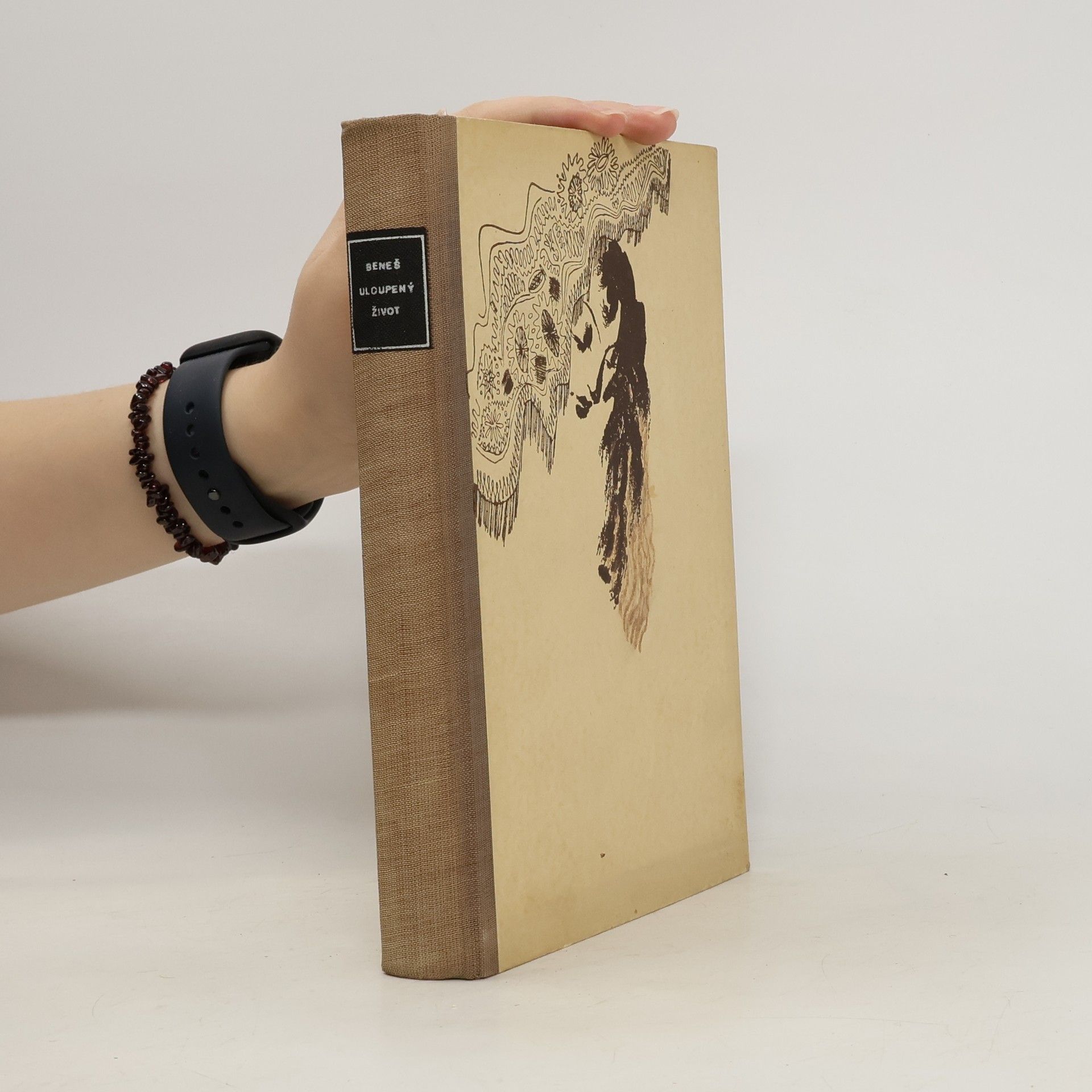 Karel Josef Beneš Uloupený život