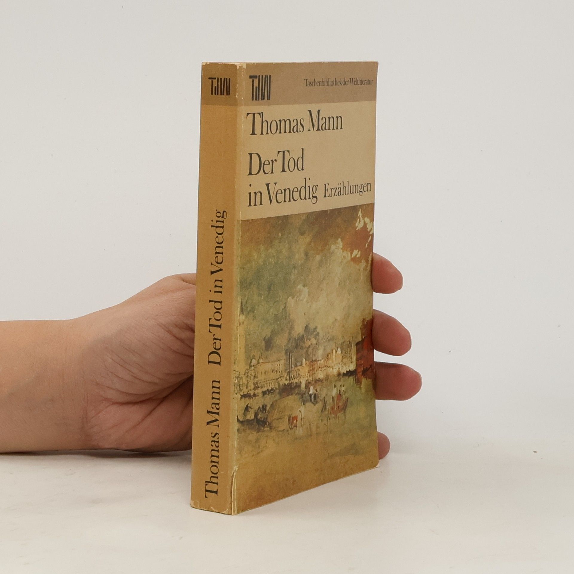 Thomas Mann Der Tod in Venedig. Erzählungen