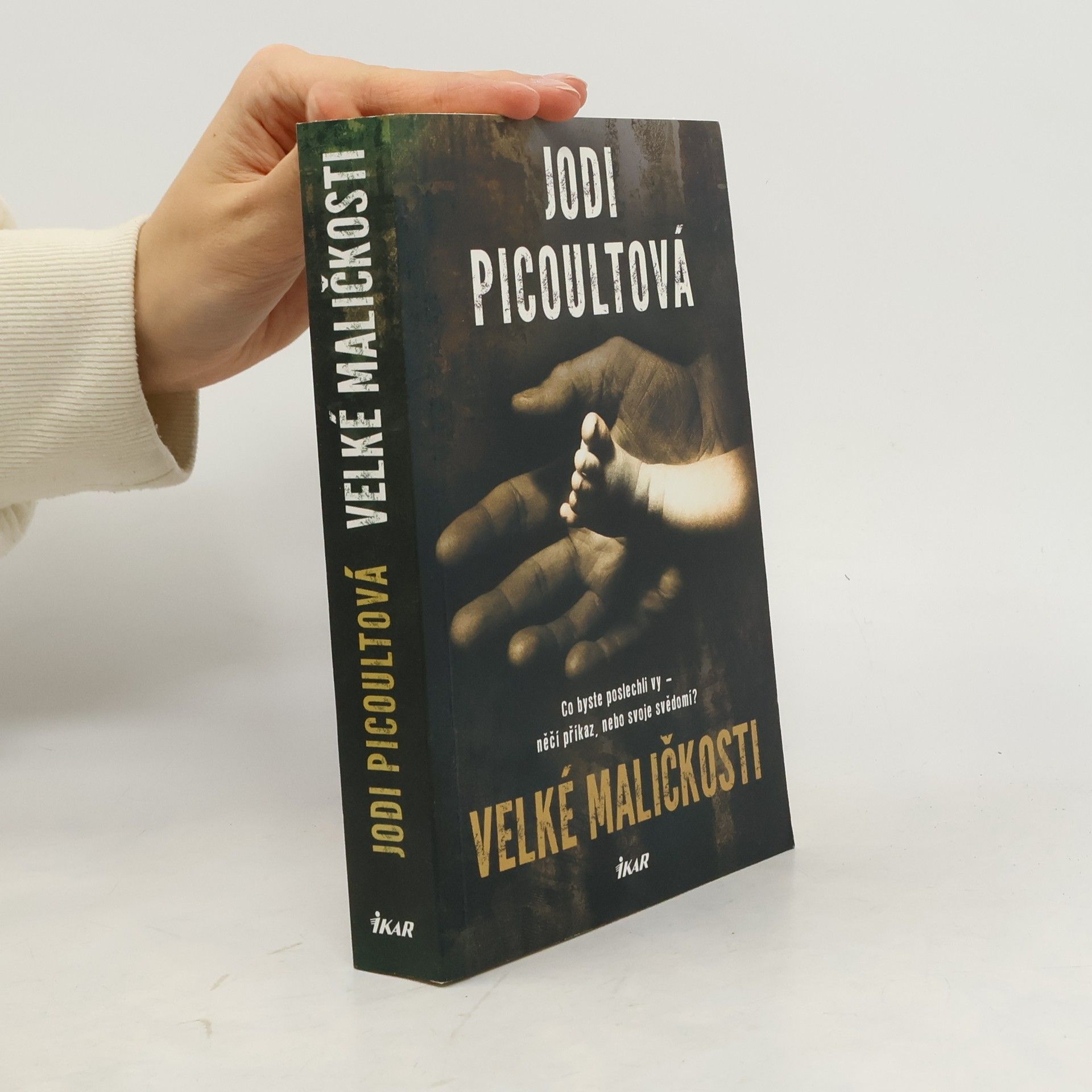 Jodi Picoult Velké maličkosti