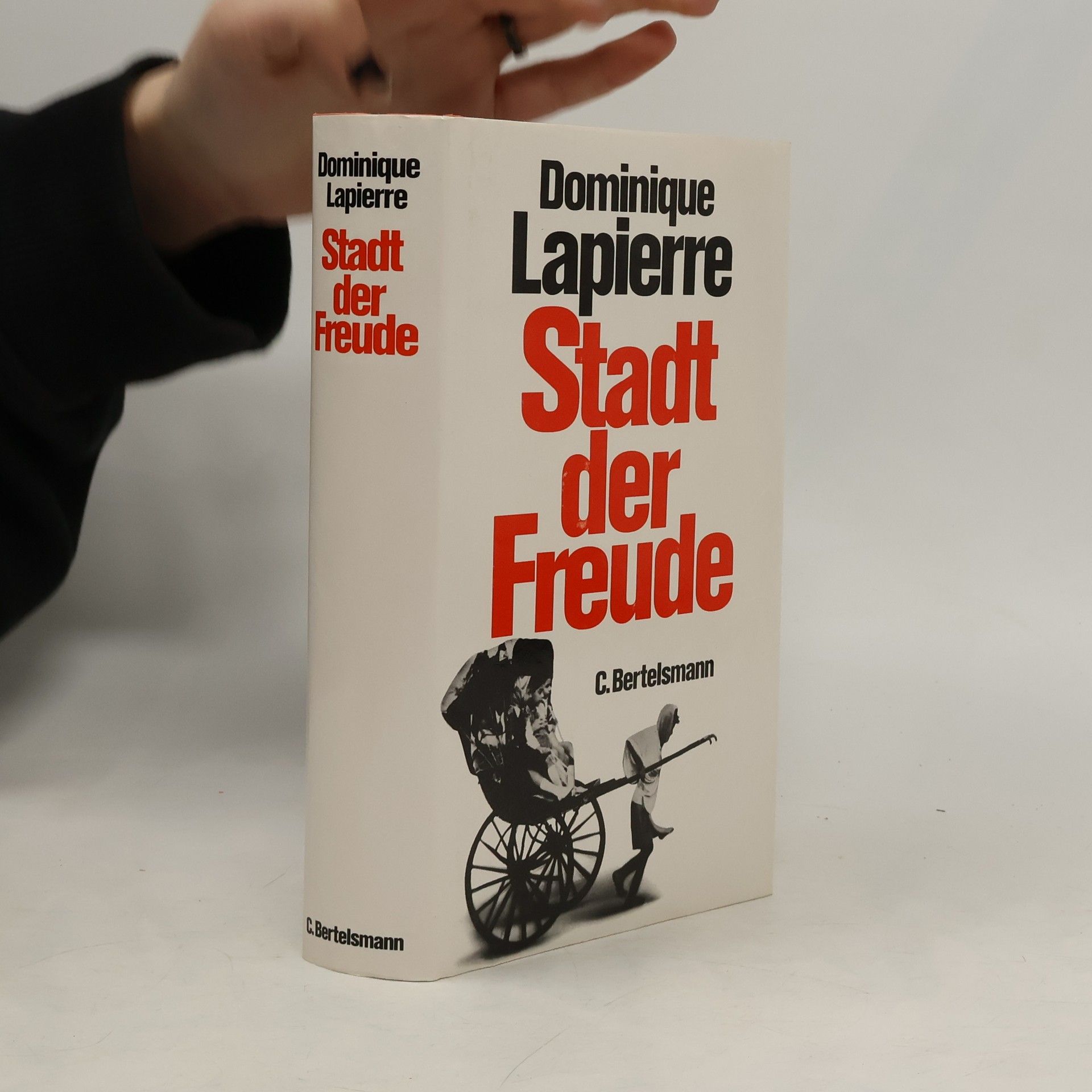 Dominique Lapierre Stadt der Freude