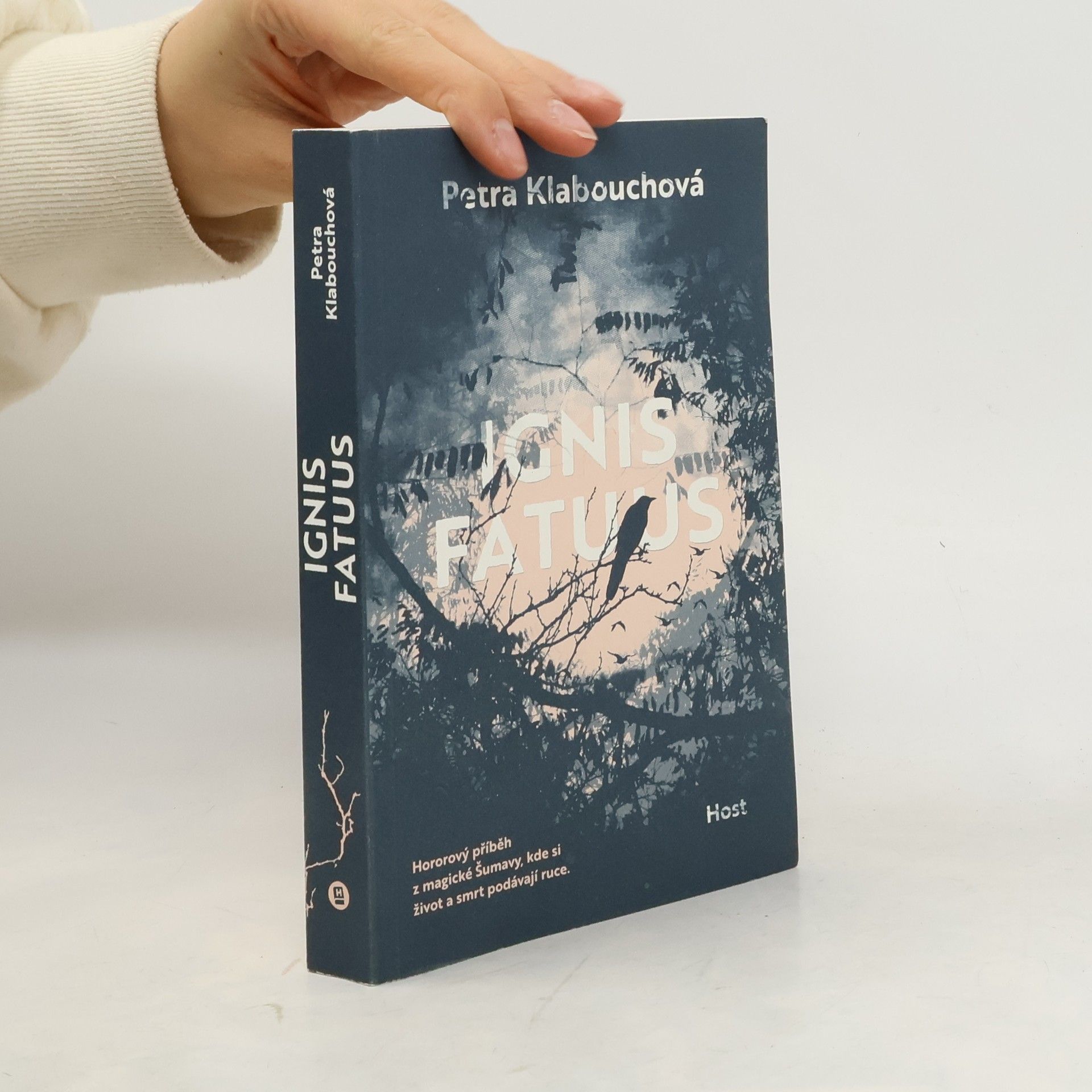 Petra Klabouchová Ignis fatuus