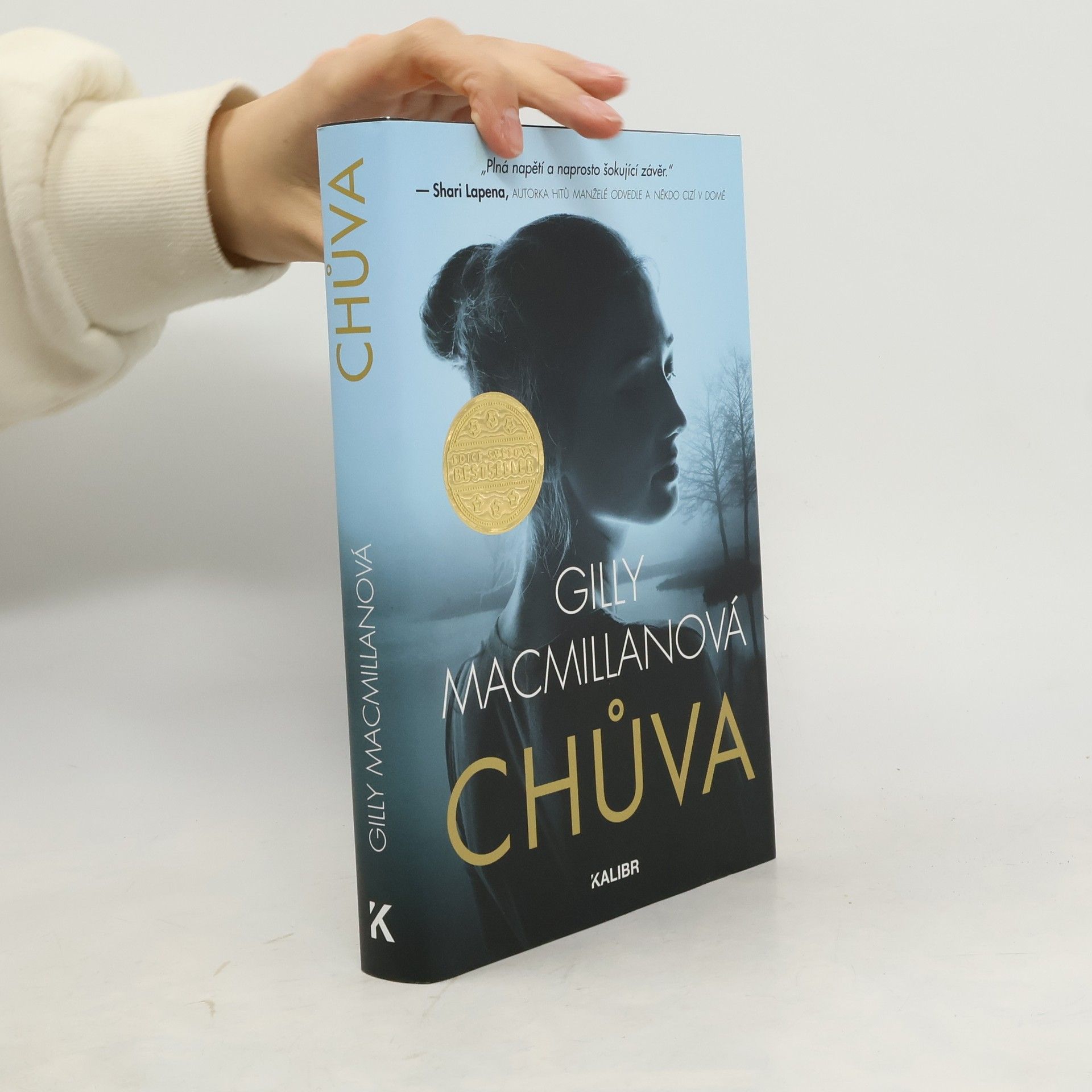 Gilly Macmillan Chůva