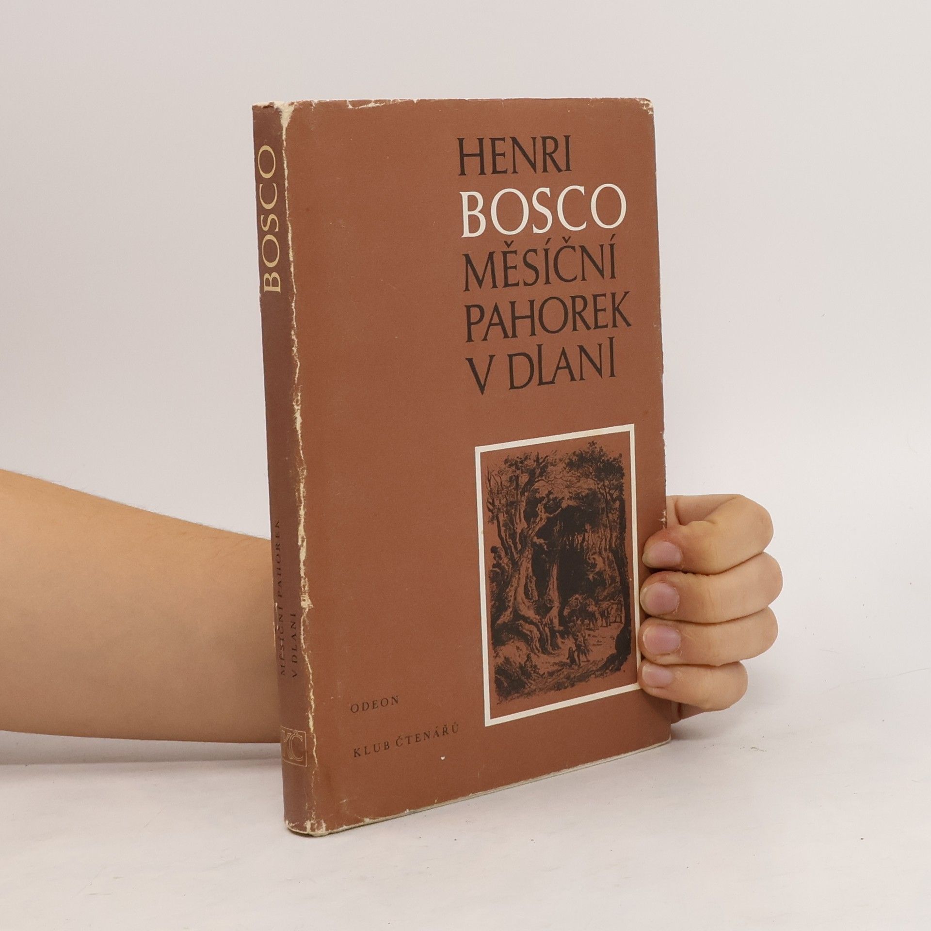 Měsíční pahorek v dlani