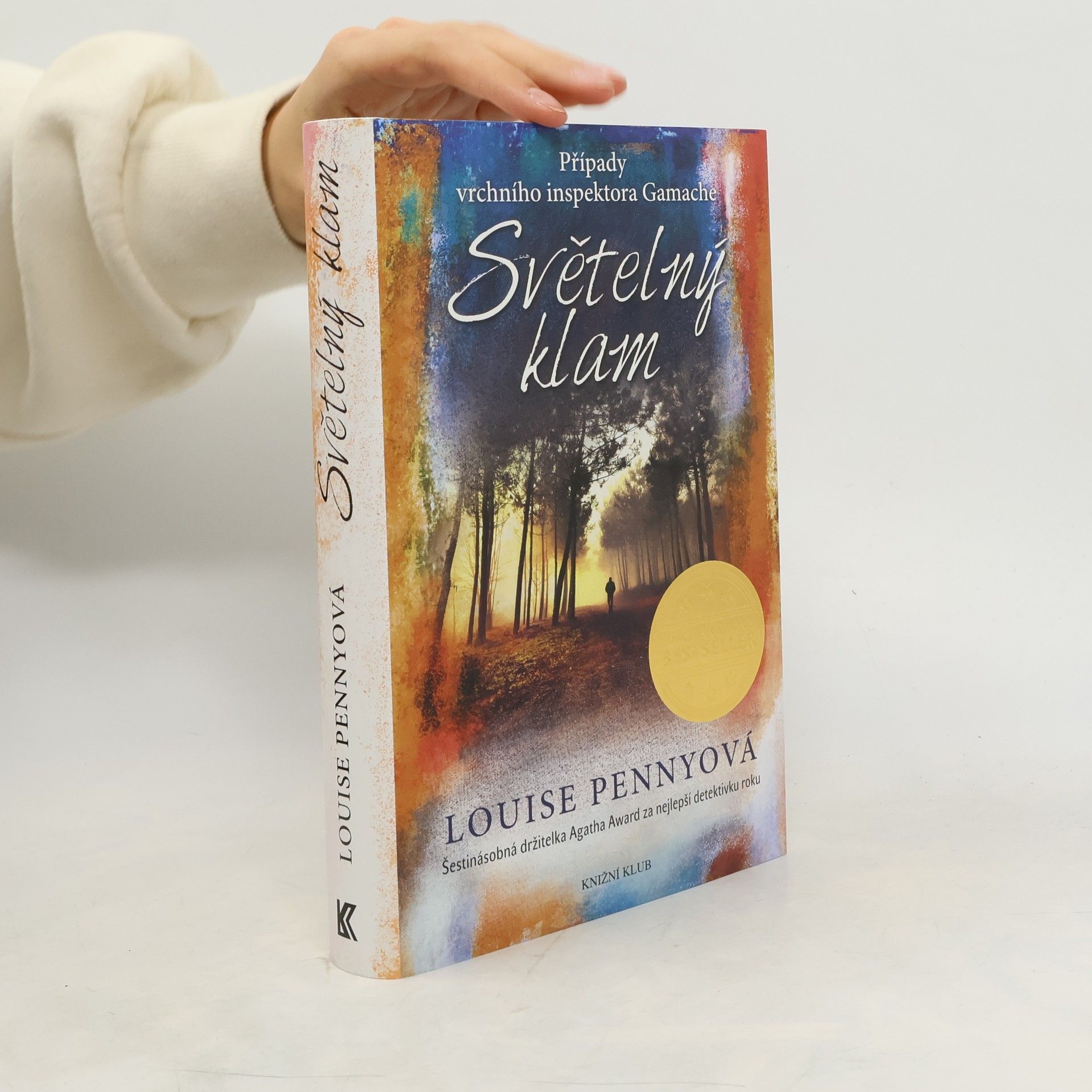 Louise Penny Světelný klam