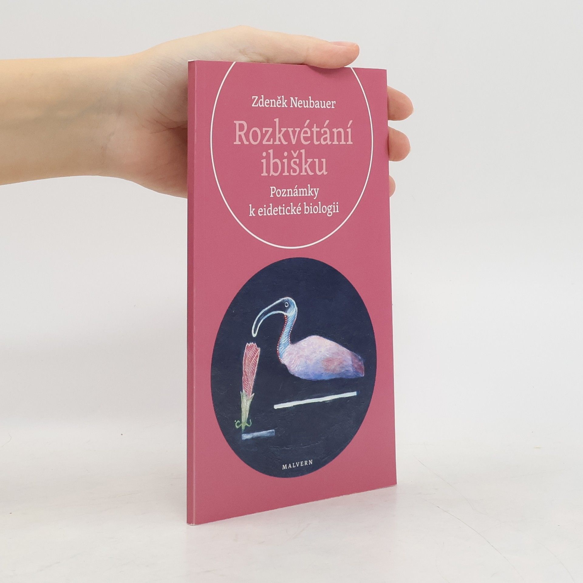 Zdeněk Neubauer Rozkvétání ibišku. Poznámky k eidetické biologii