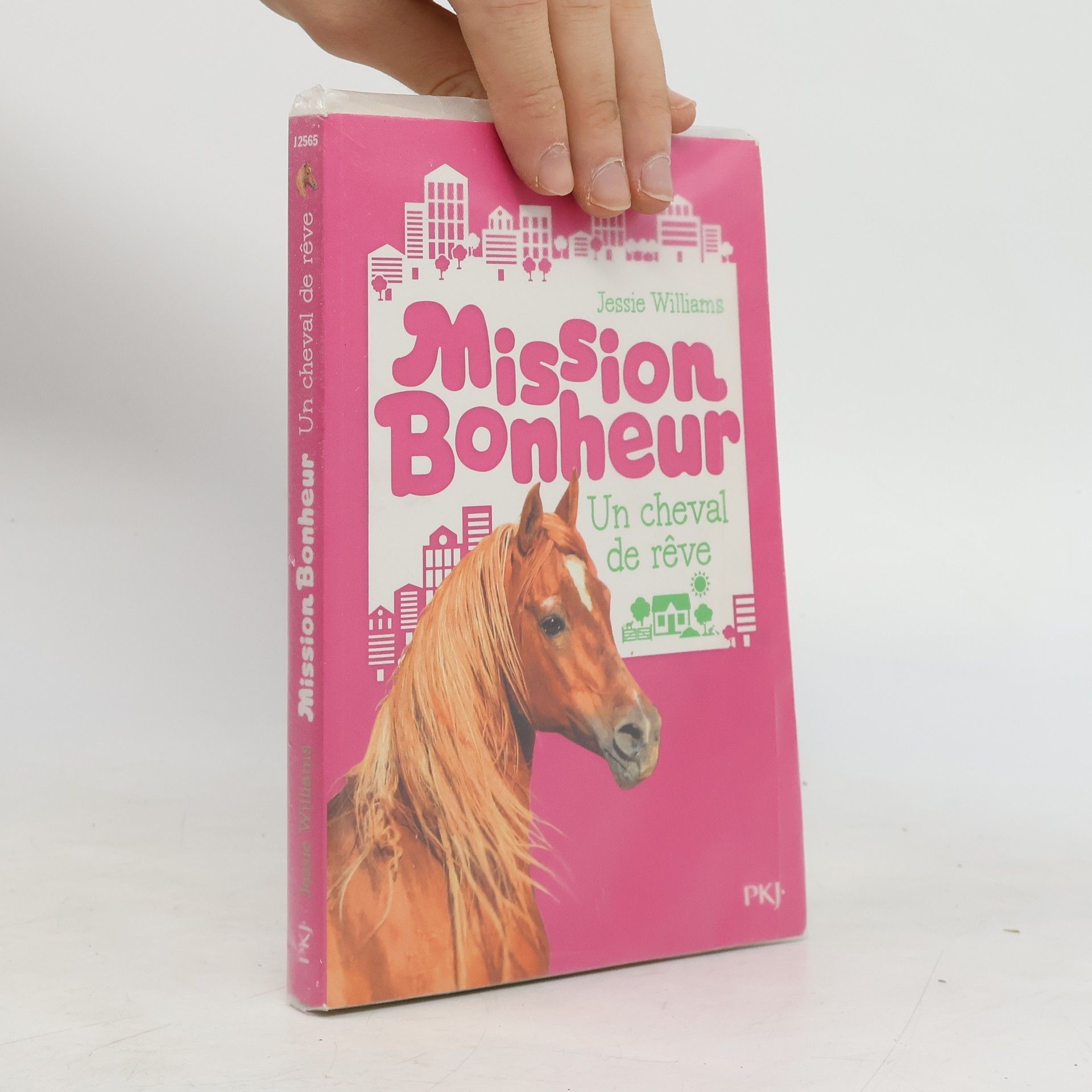 Jessie Williams Mission Bonheur. Un cheval de rêve