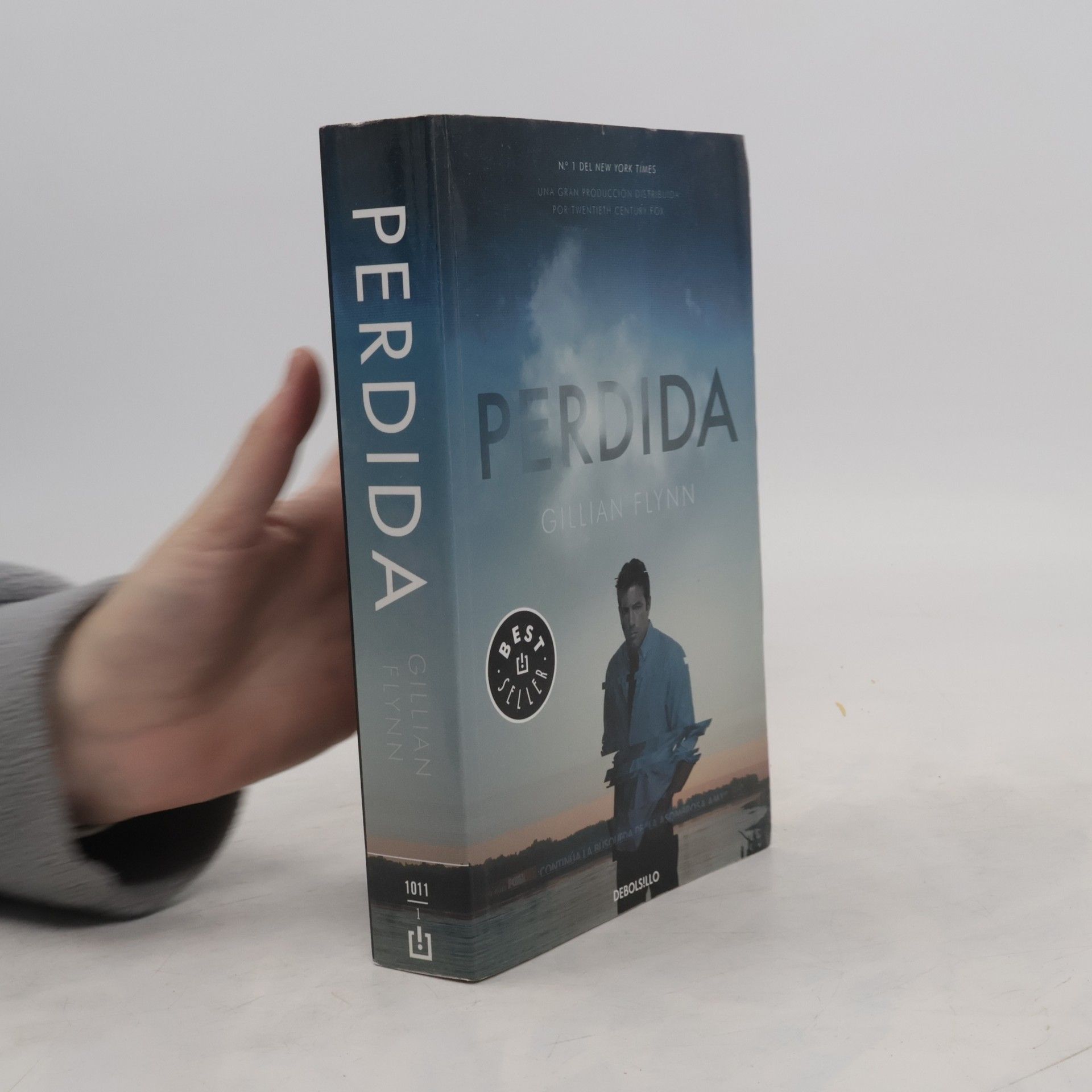 Gillian Flynn Perdida