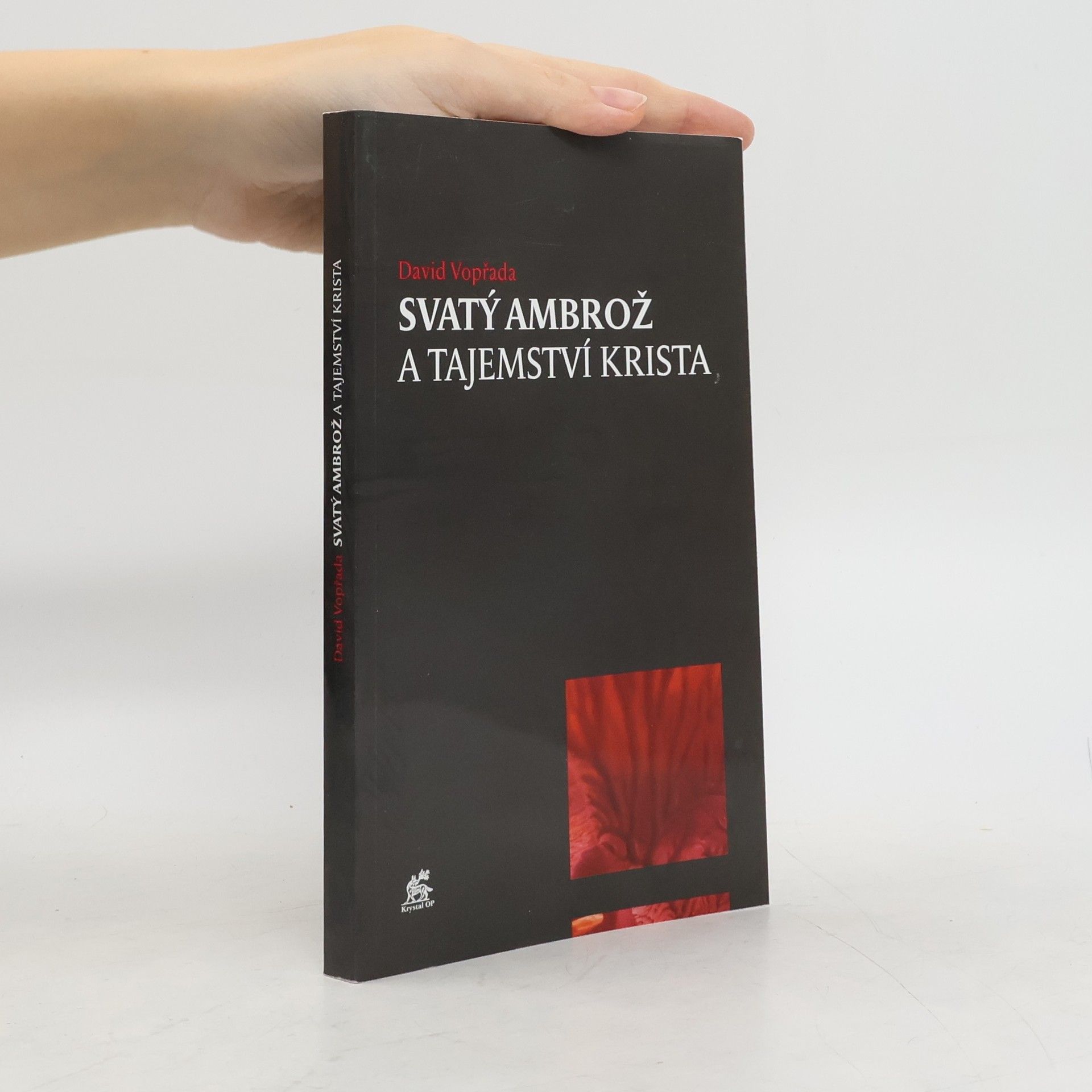 David Vopřada Svatý Ambrož a tajemství Krista