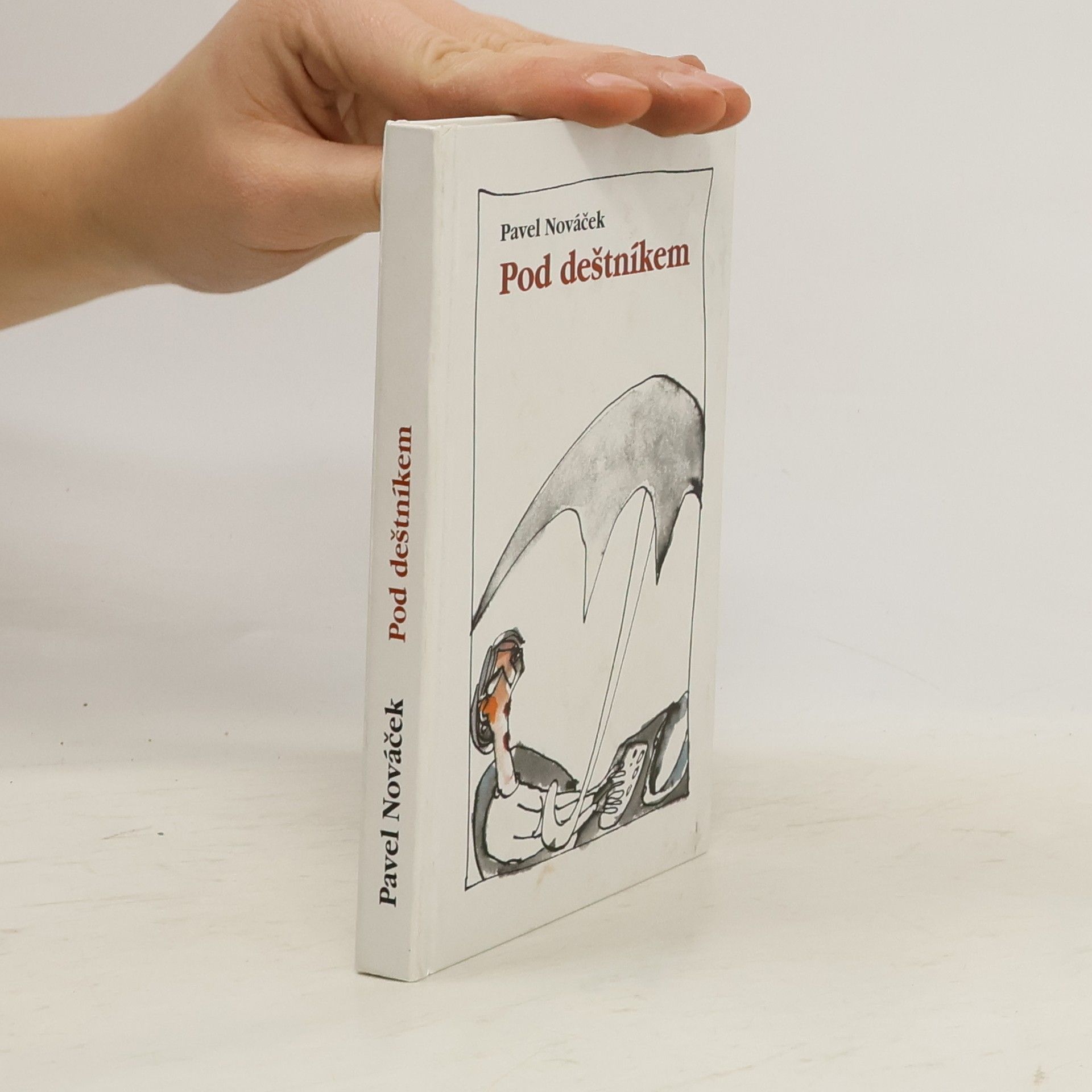 Pavel Nováček Pod deštníkem