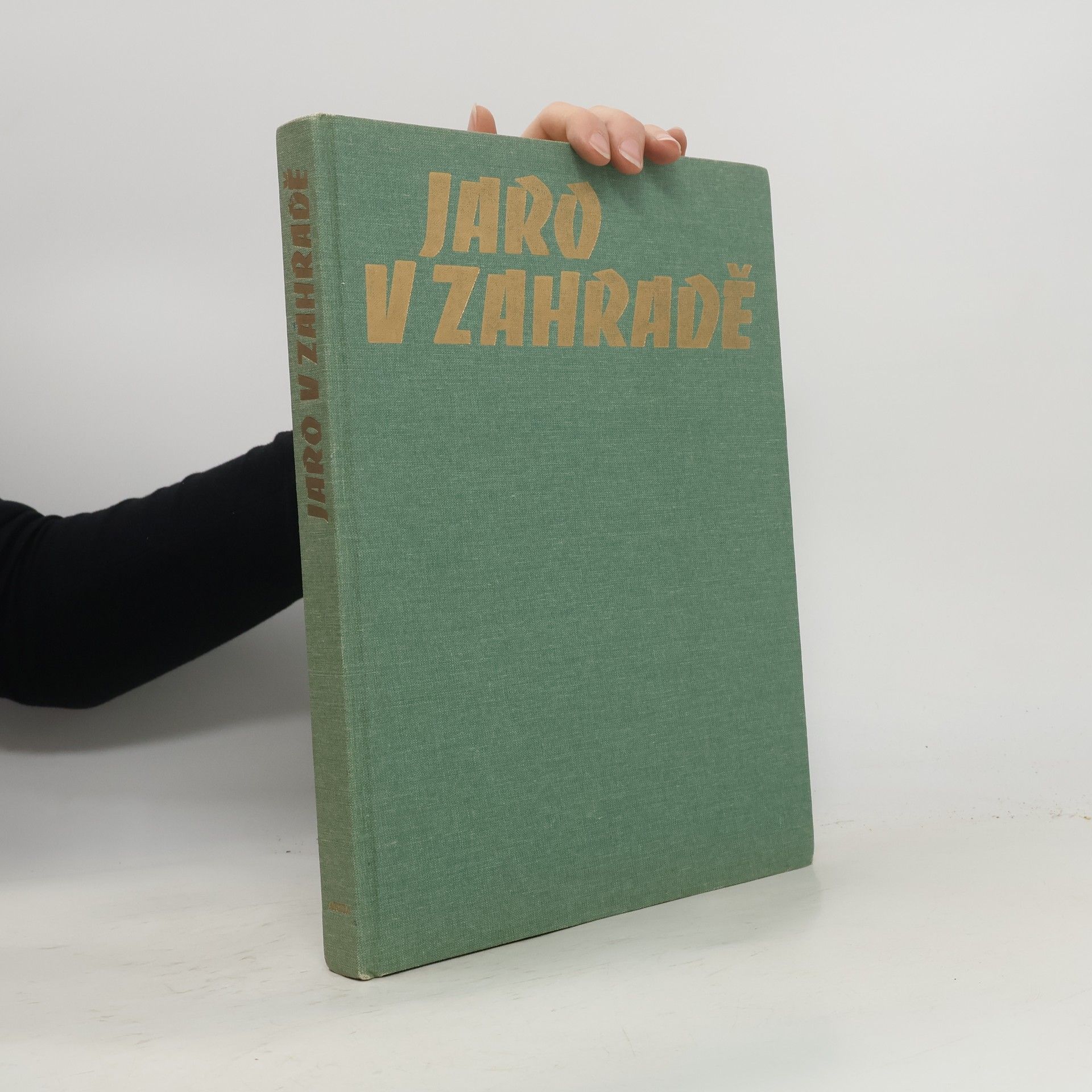 Collectif d'auteurs Jaro v zahradě