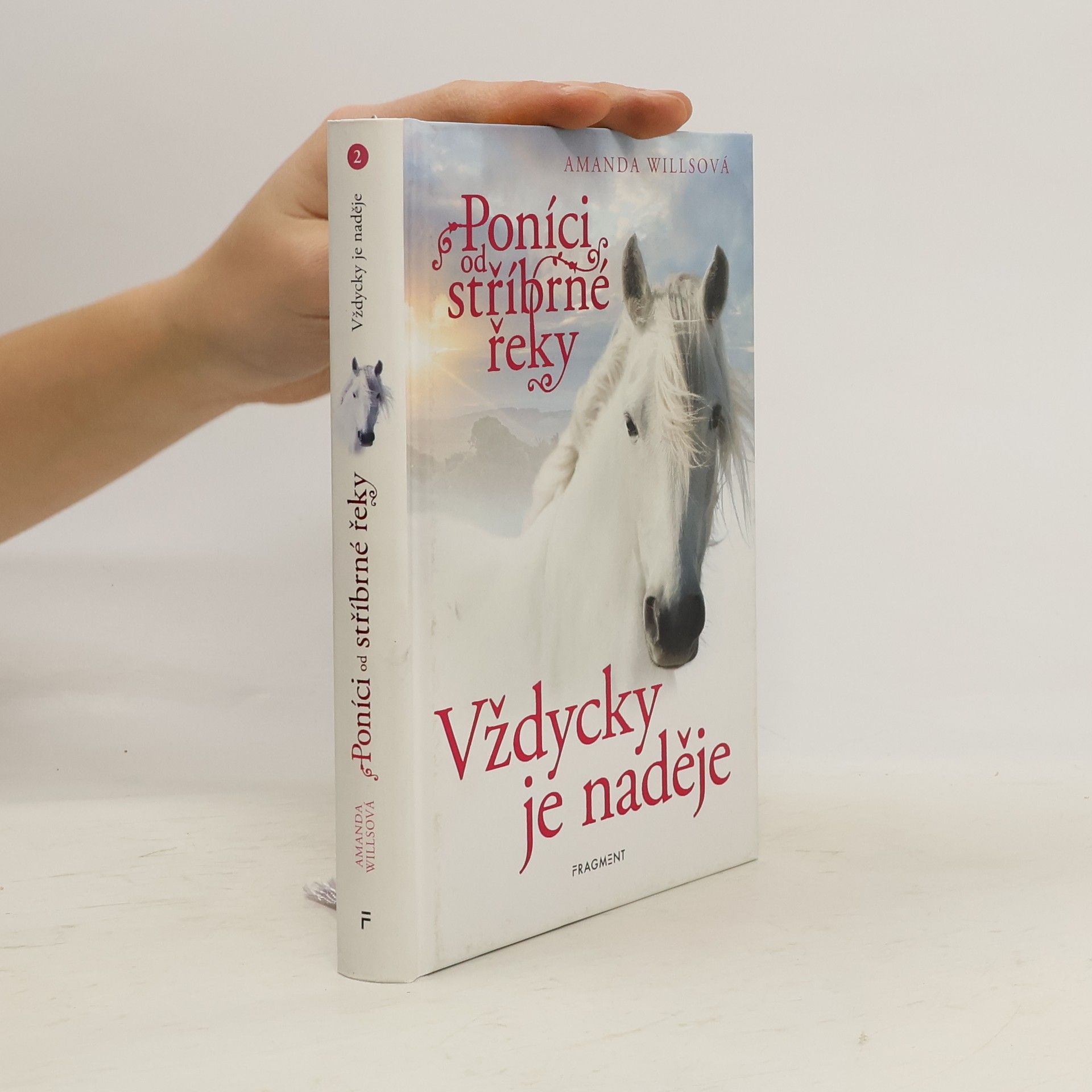 Amanda Wills Vždycky je naděje