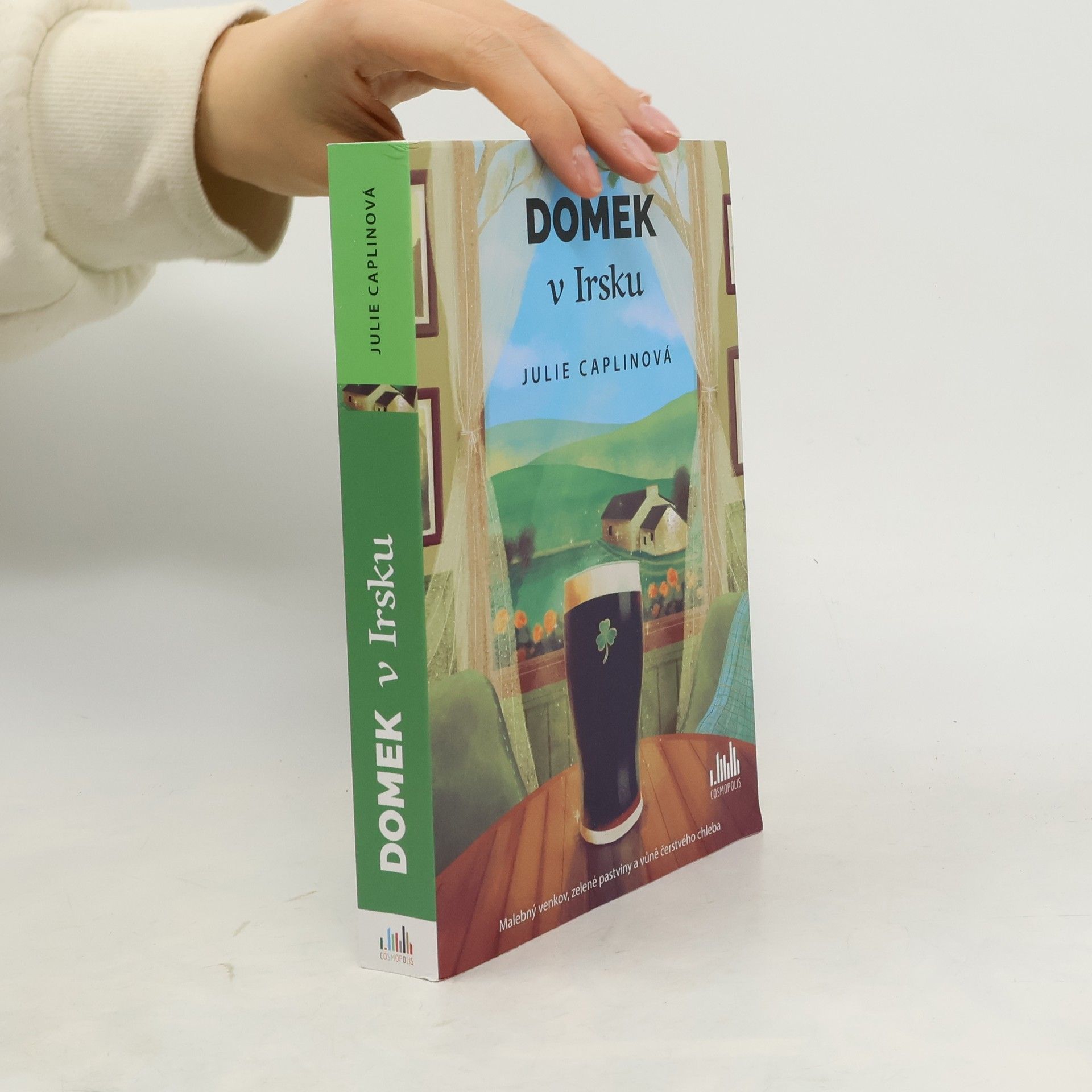 Julie Caplin Domek v Irsku