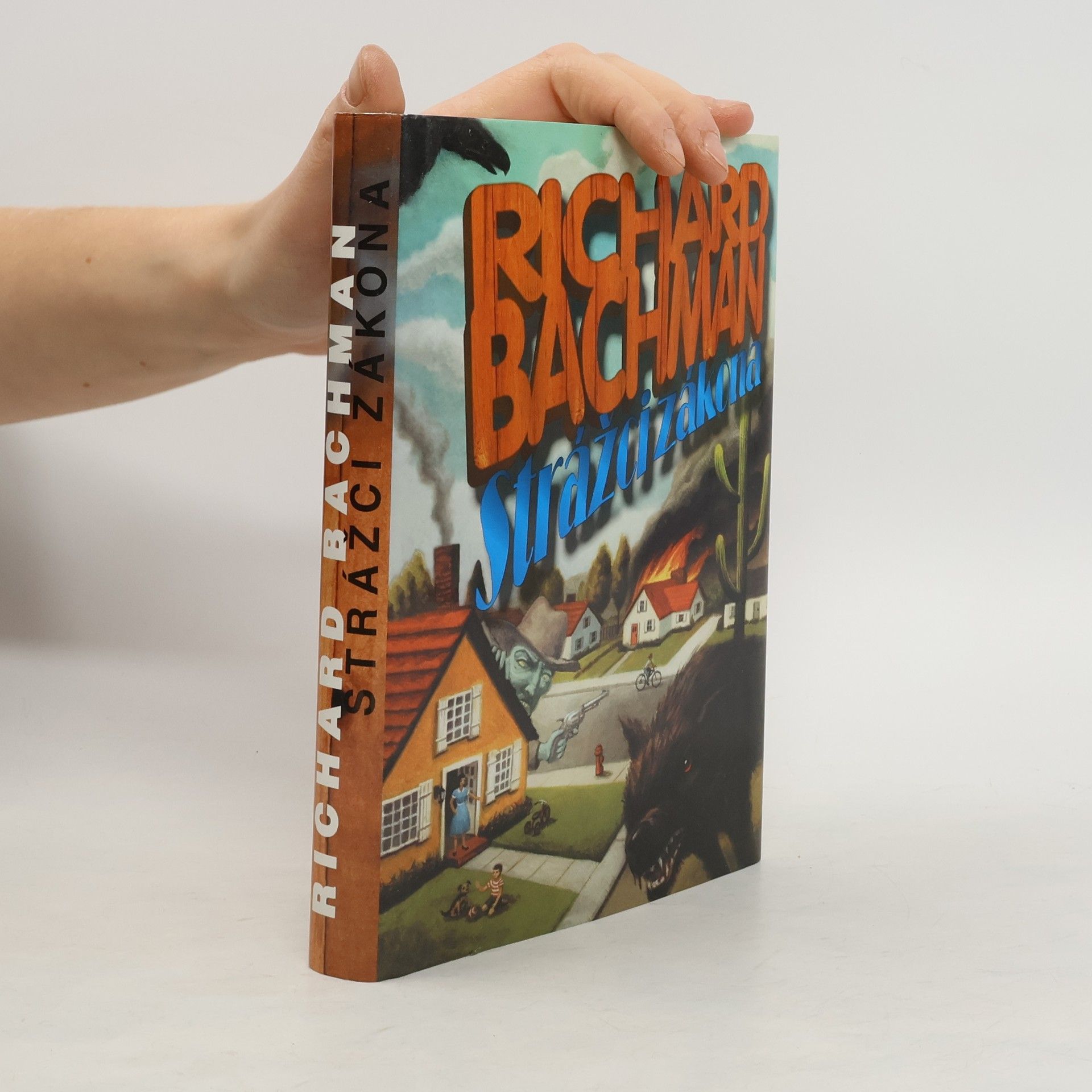 Stephen King Strážci zákona