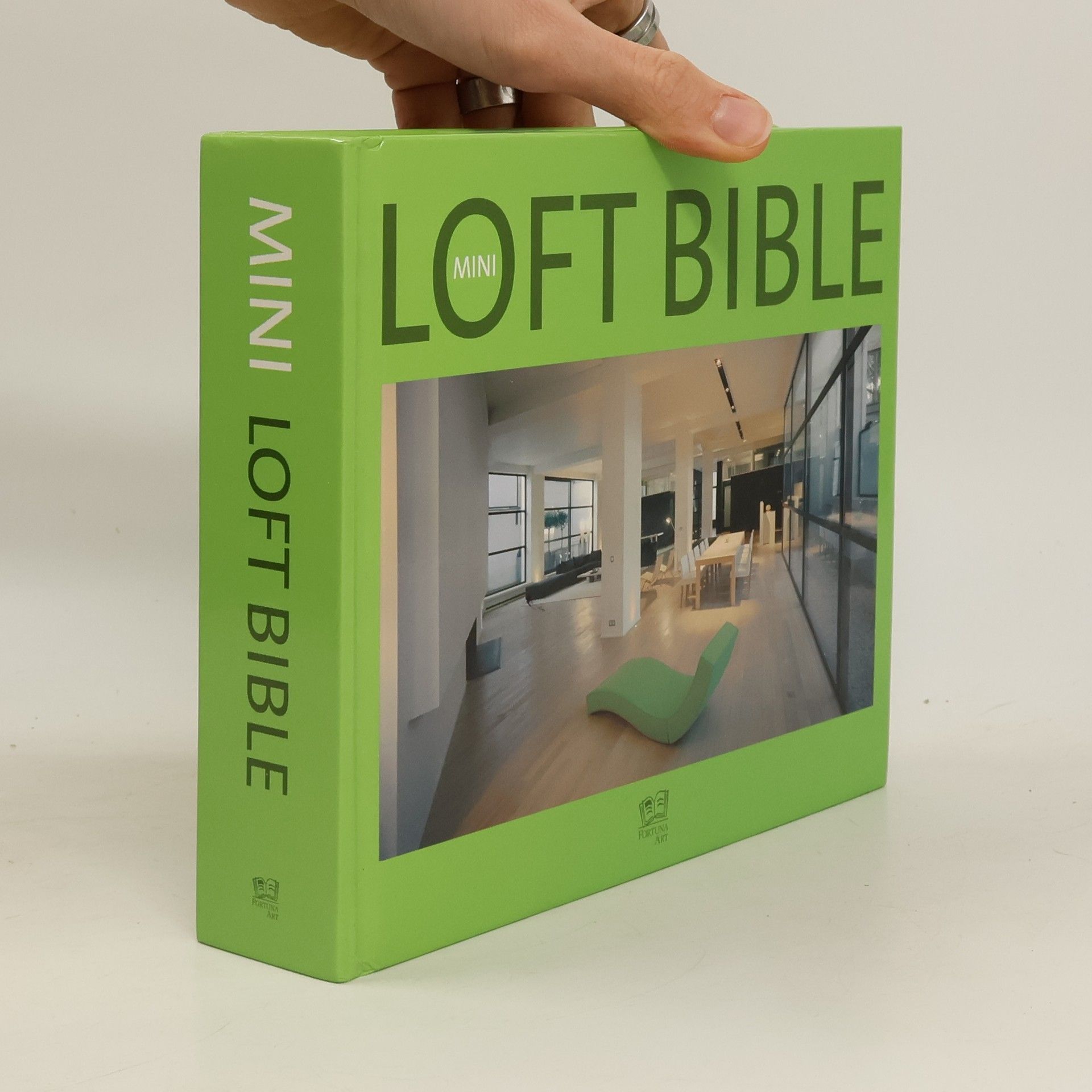 Kolektív autorov Mini loft bible