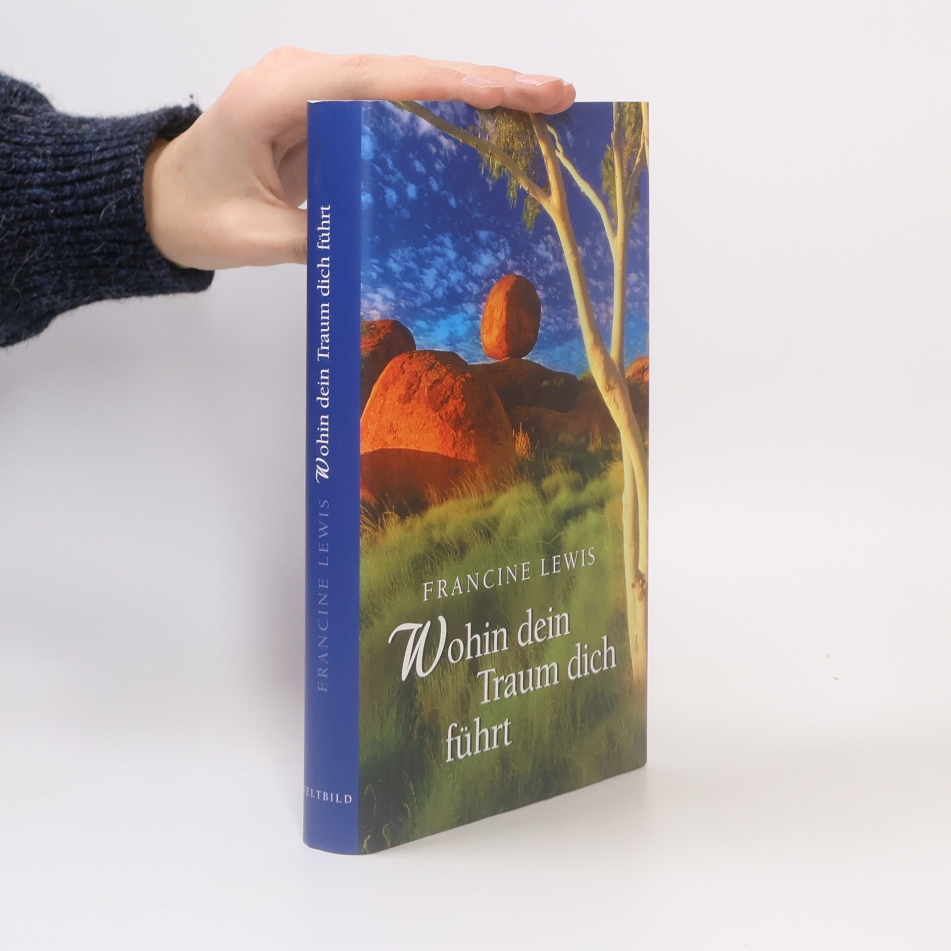 Francine Lewis Wohin dein Traum dich führt