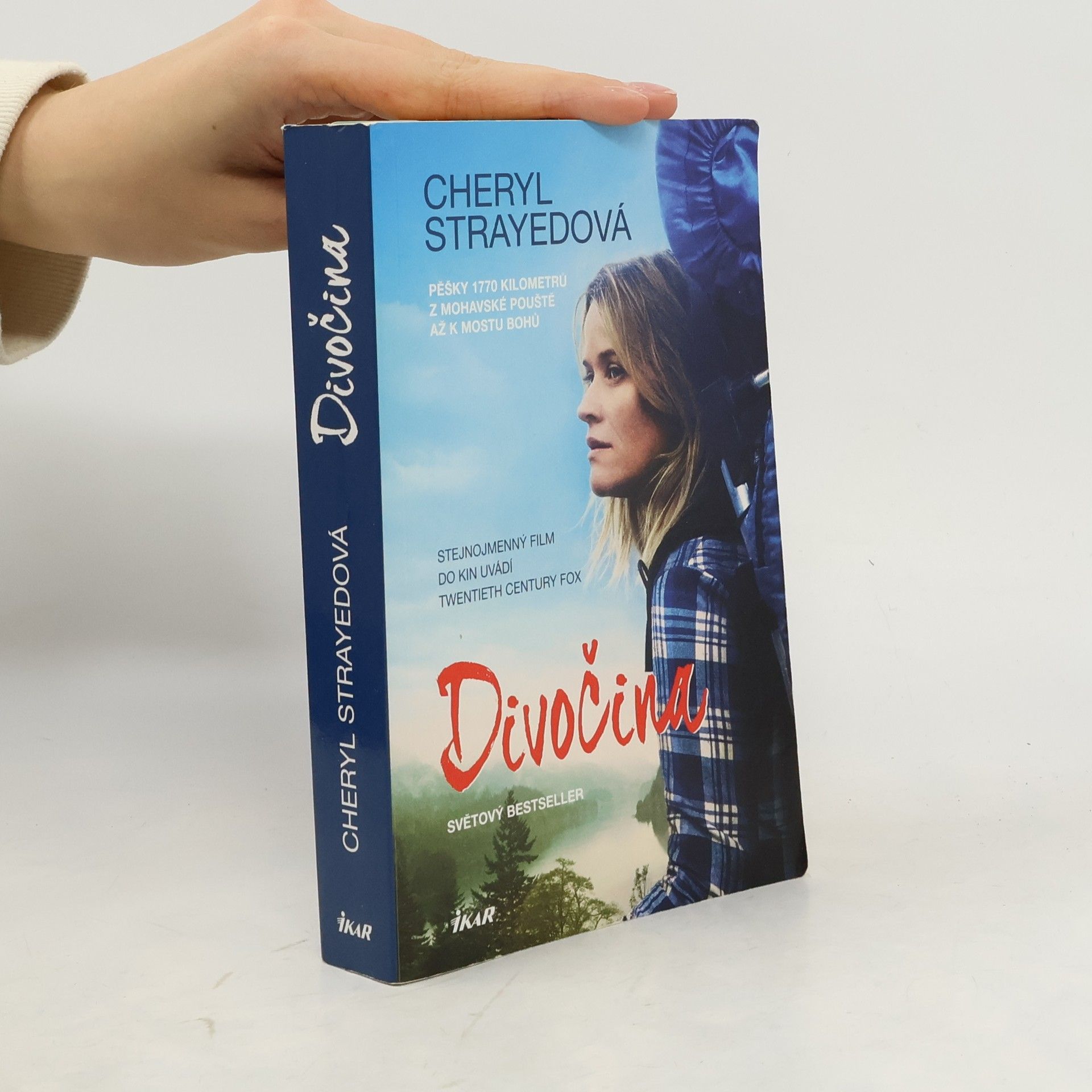 Cheryl Strayed Divočina. Pěšky 1770 kilometrů z Mohavské pouště až k mostu bohů