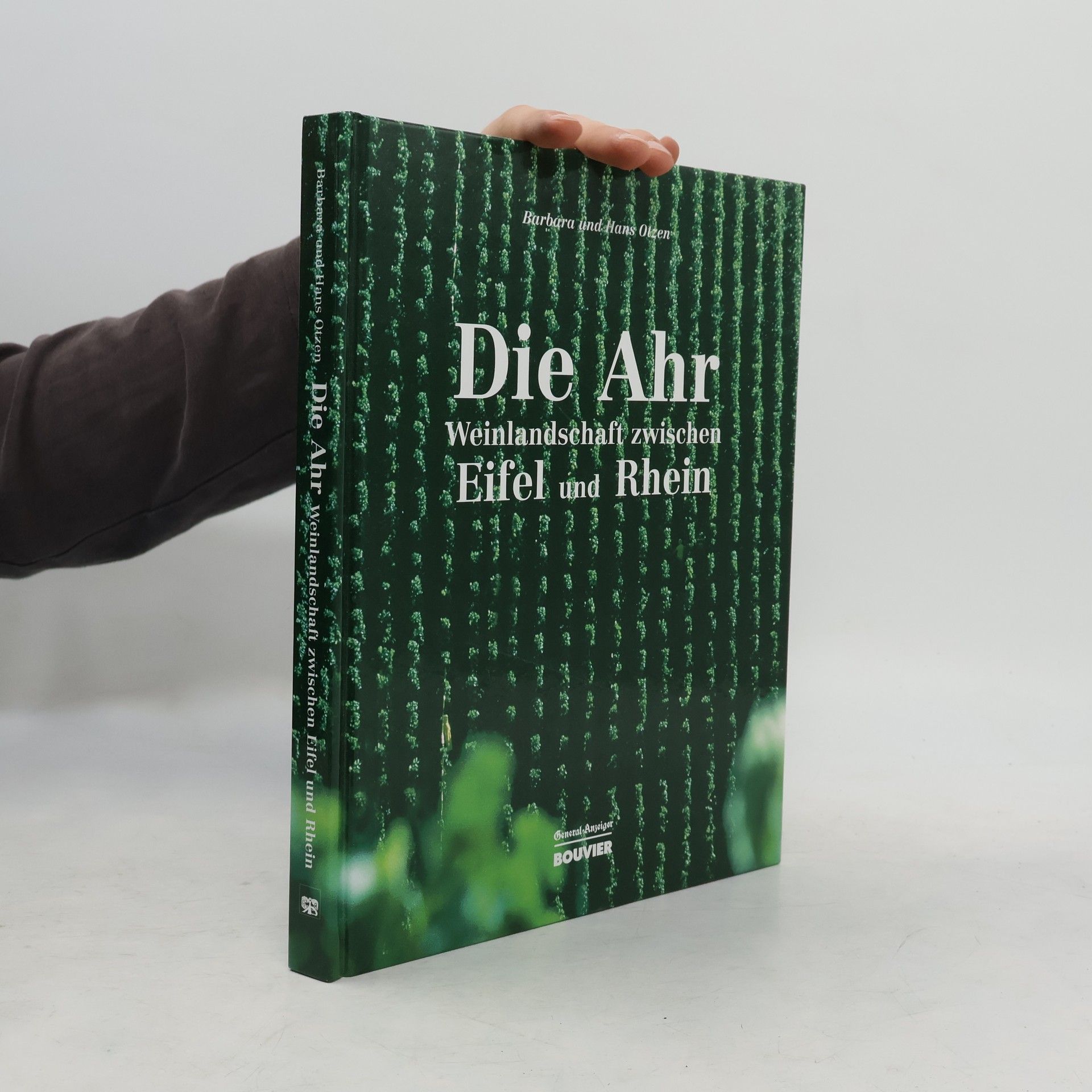 Barbara Otzen Die Ahr