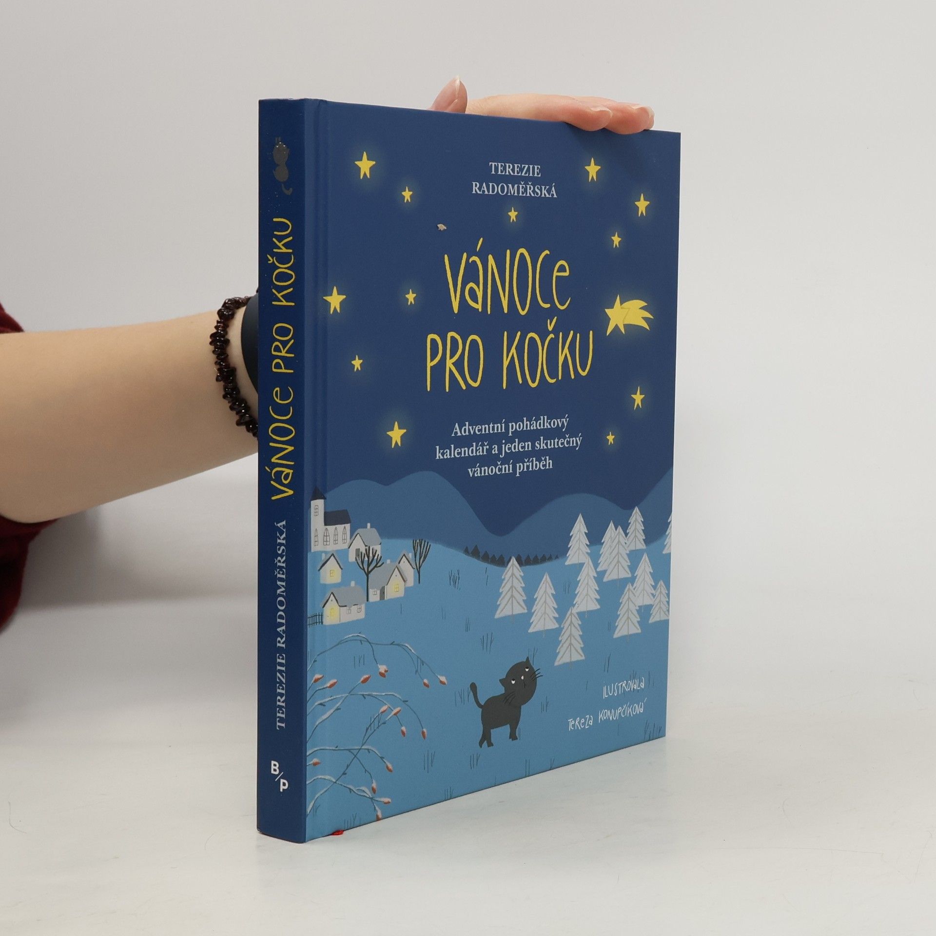 Terezie Radoměřská Vánoce pro kočku