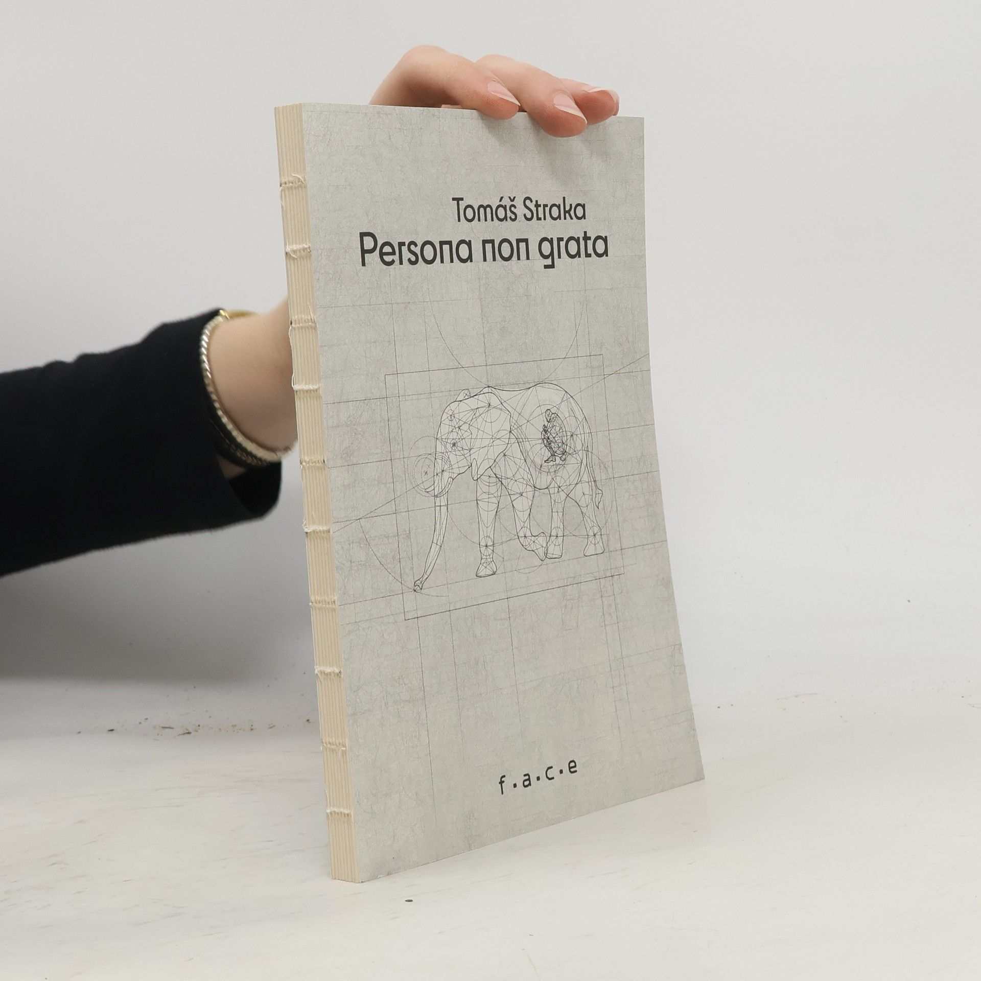 Tomáš Straka Persona non grata