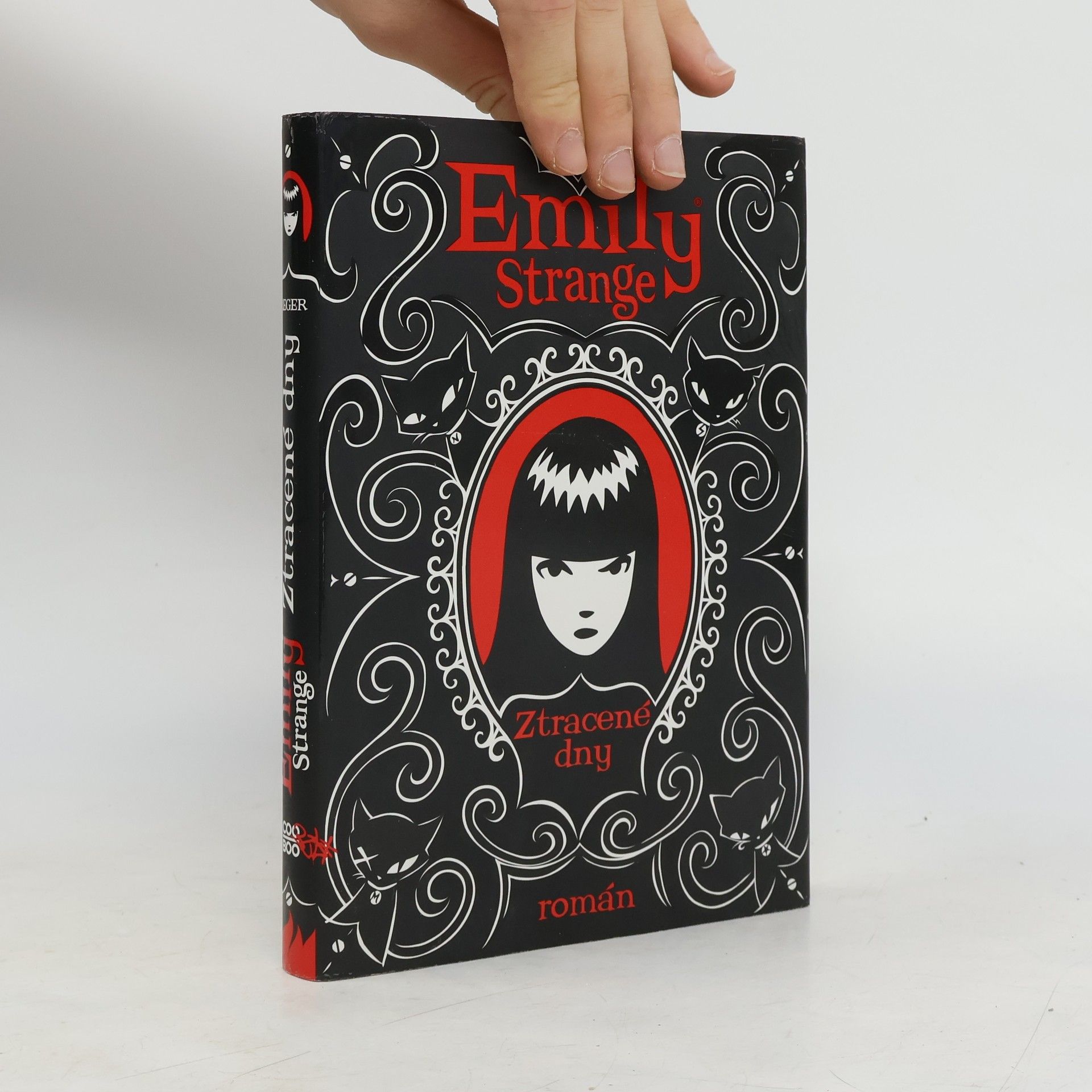 Emily Strange. Ztracené dny