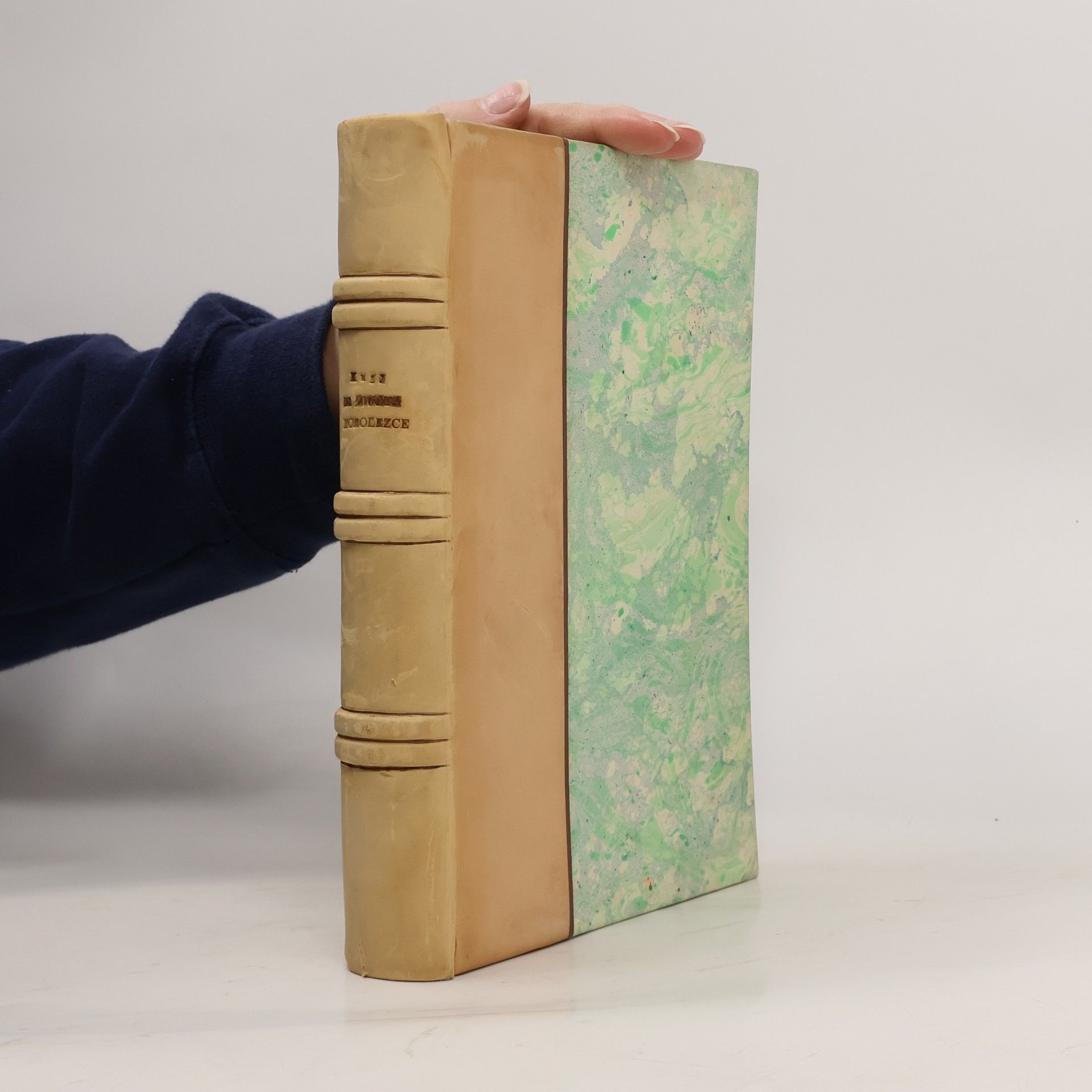 Julius Kugy Ze života horolezce