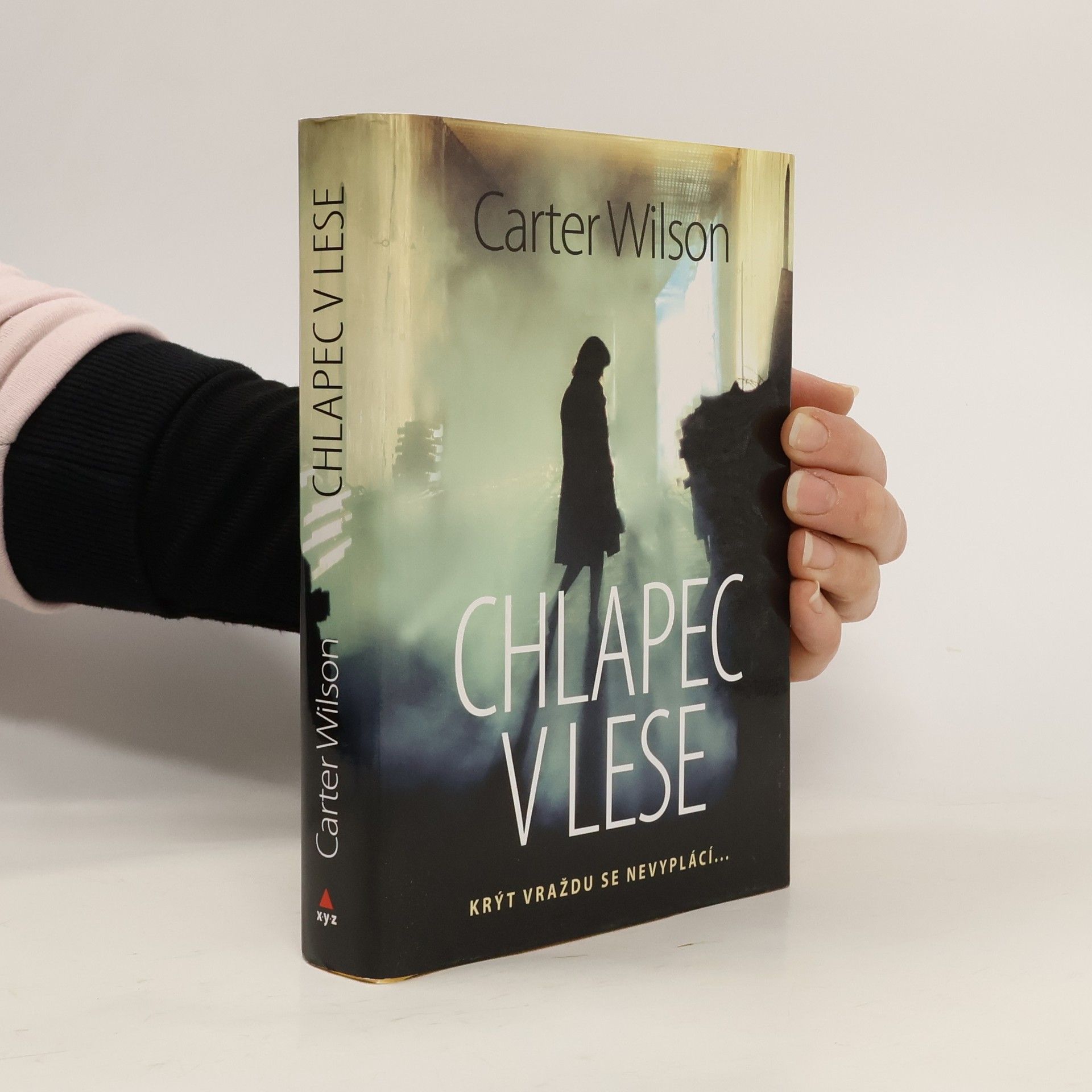 Carter Wilson Chlapec v lese : krýt vraždu se nevyplácí...