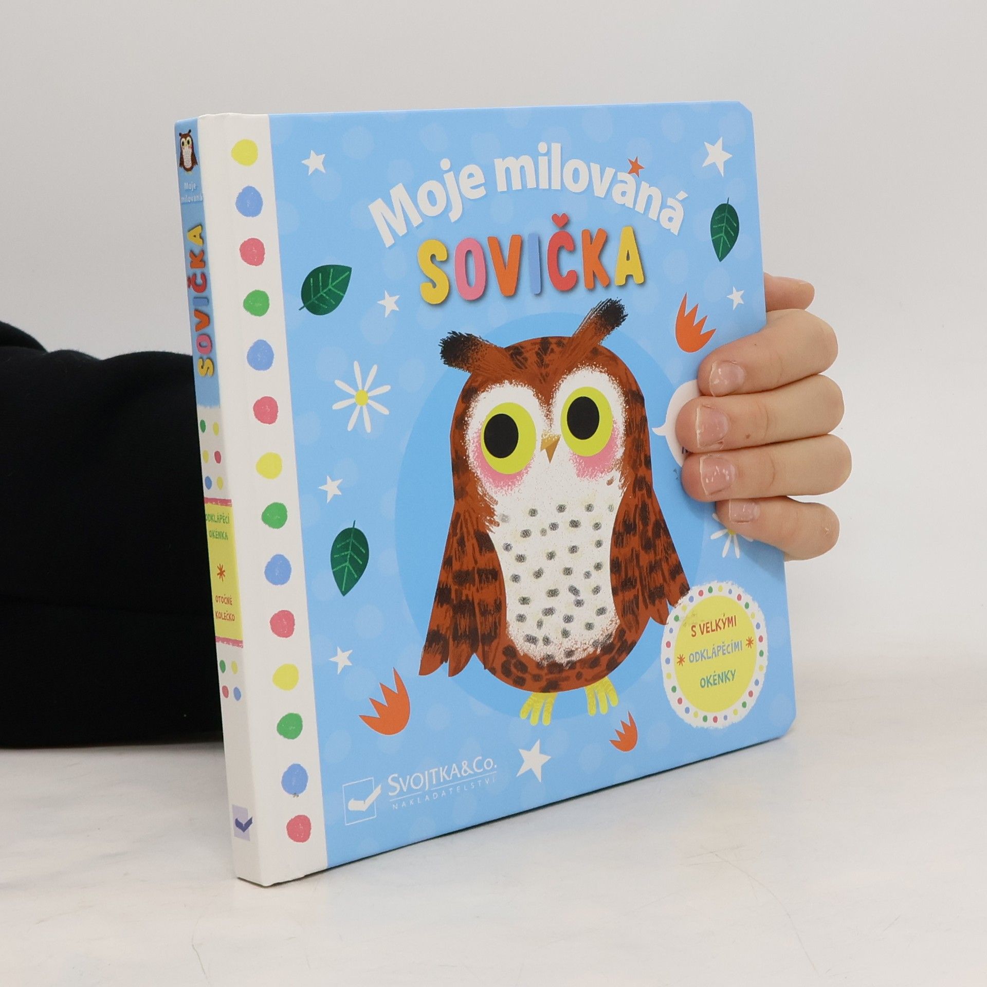 Autorenkollektiv Moje milovaná sovička