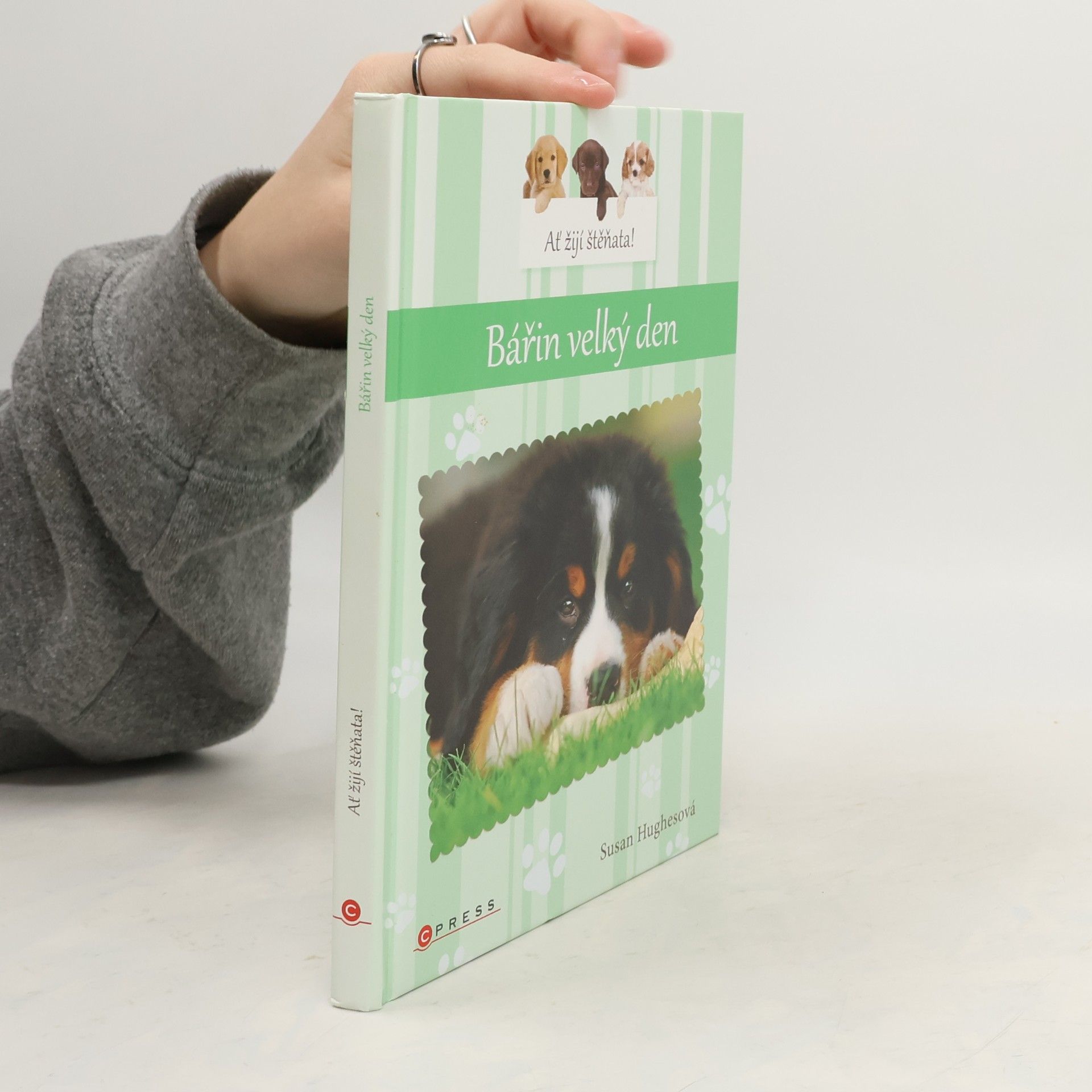 Susan Hughes Bářin velký den